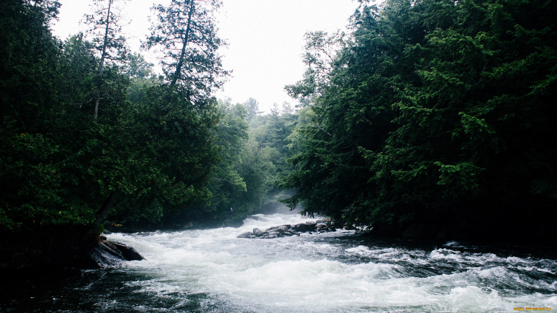 природа, реки, озера, бурная, река
