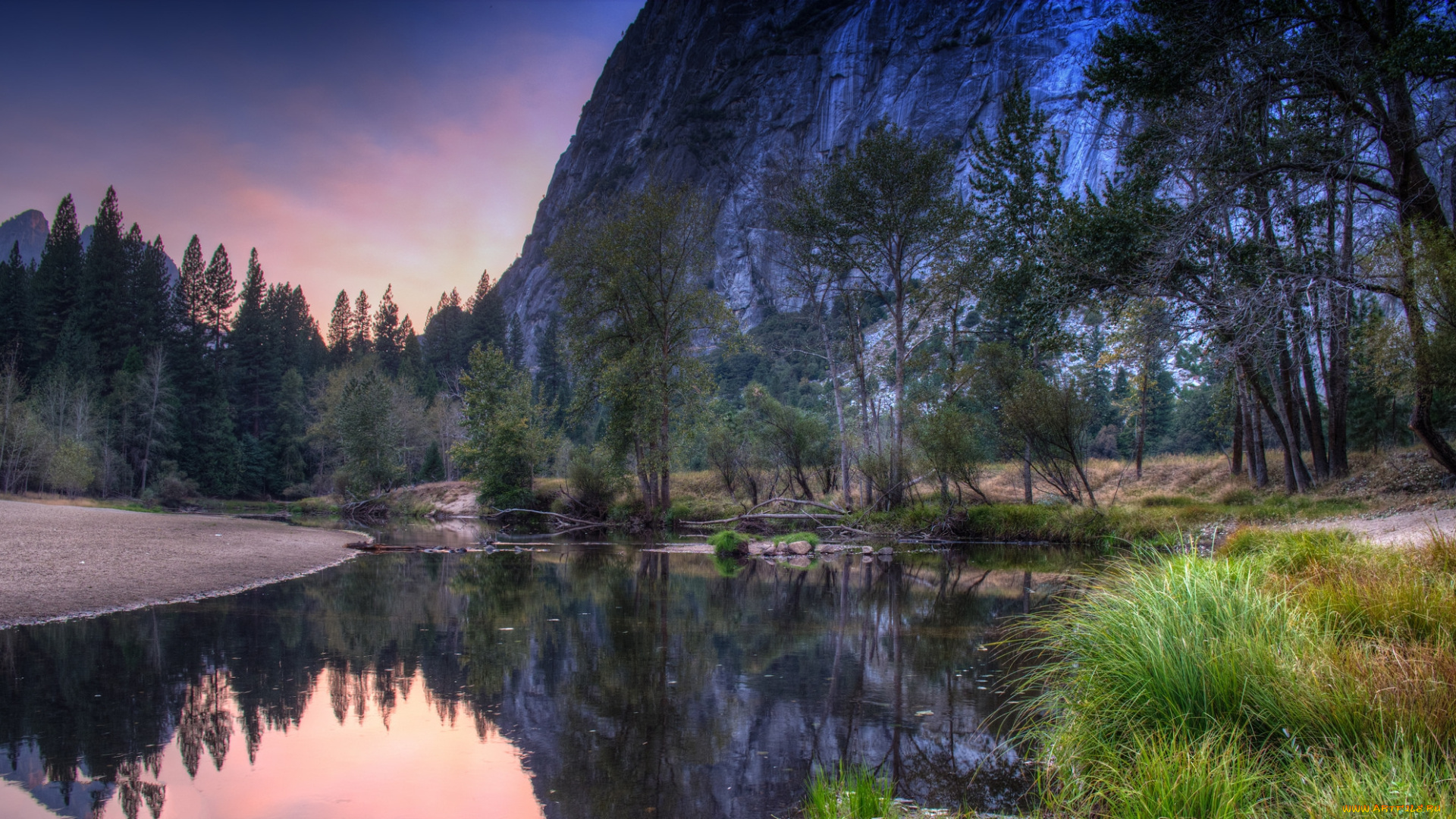 природа, реки, озера, река, лес