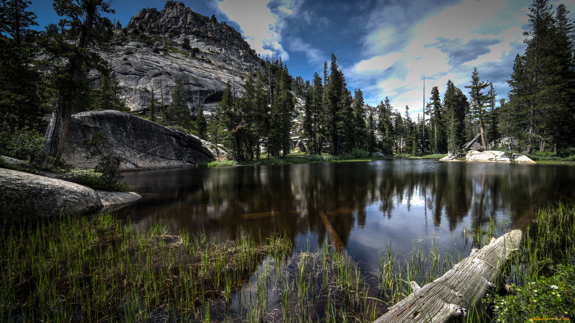 природа, реки, озера, река, лес