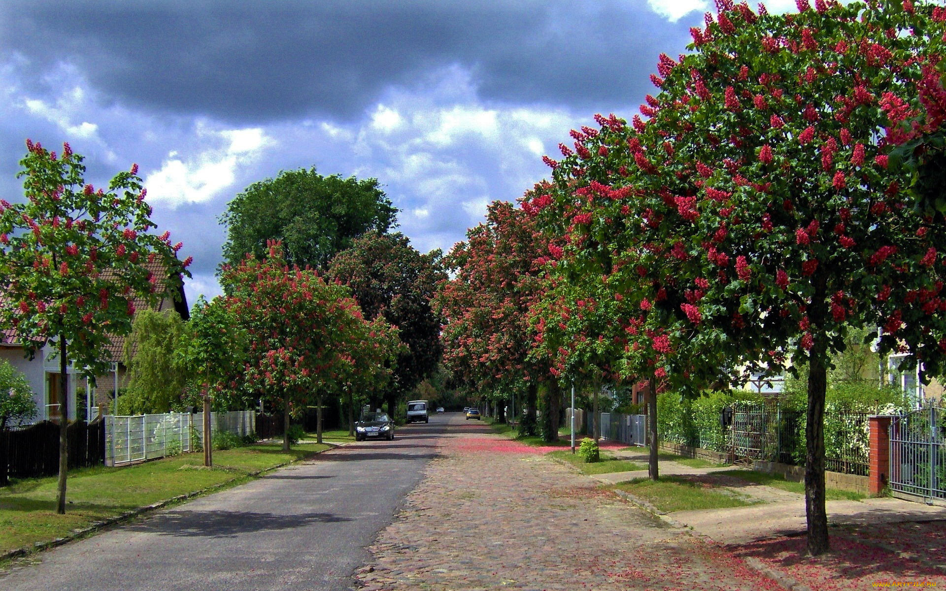 города, -, улицы, , площади, , набережные, дорога, улица, пригород, дома, каштаны