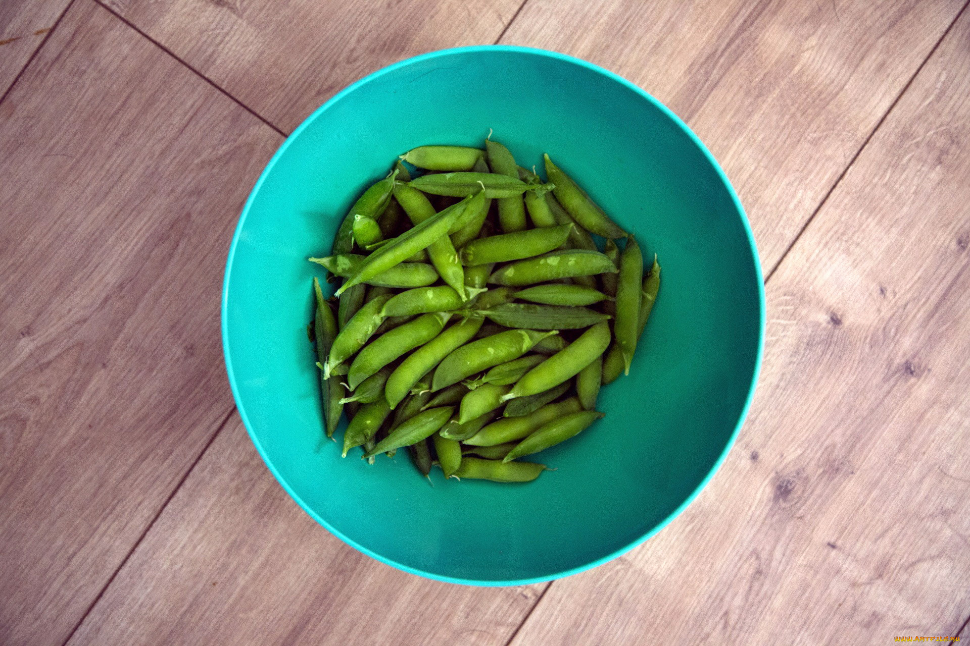 еда, бобовые, фасоль, стручки