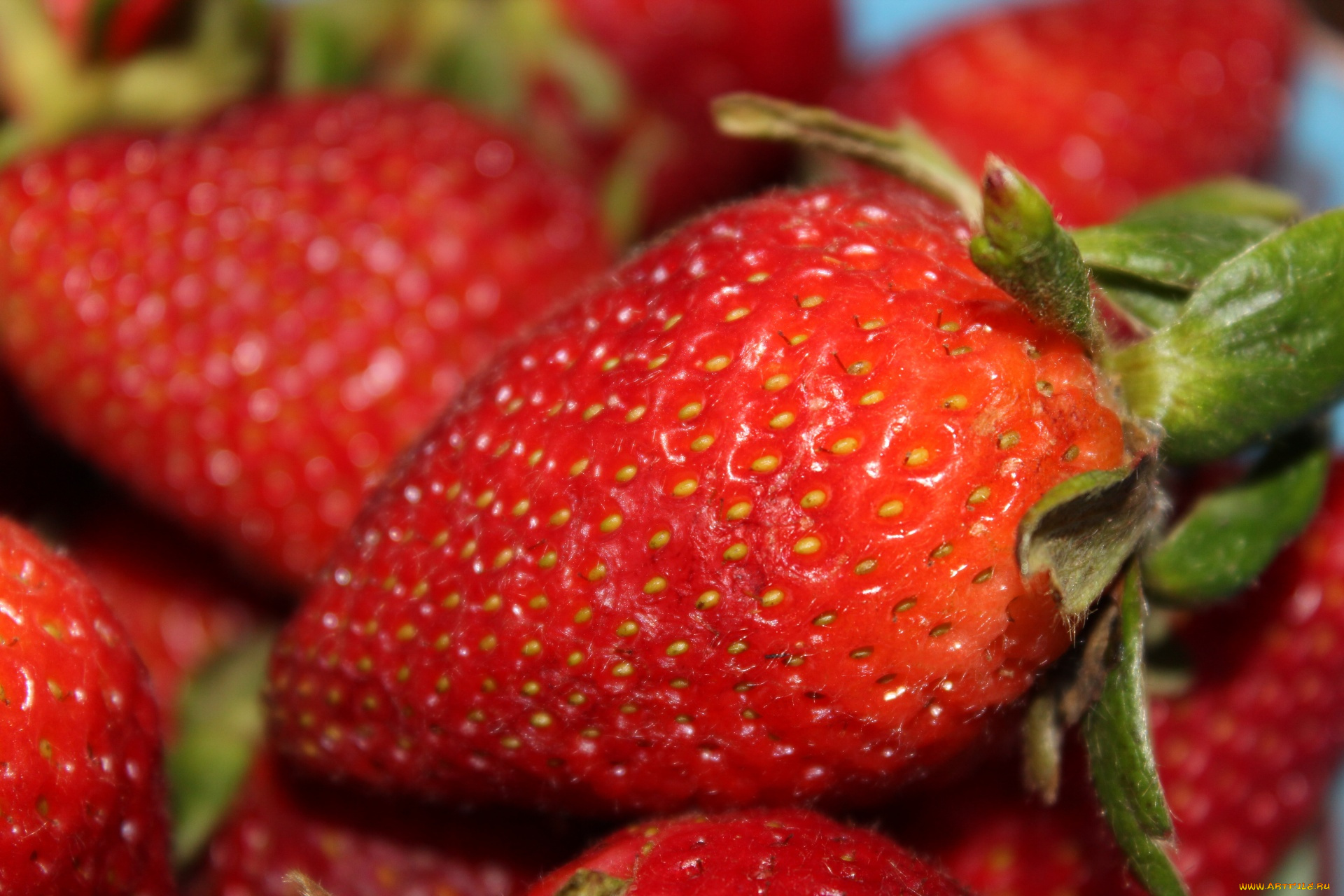 еда, клубника, , земляника