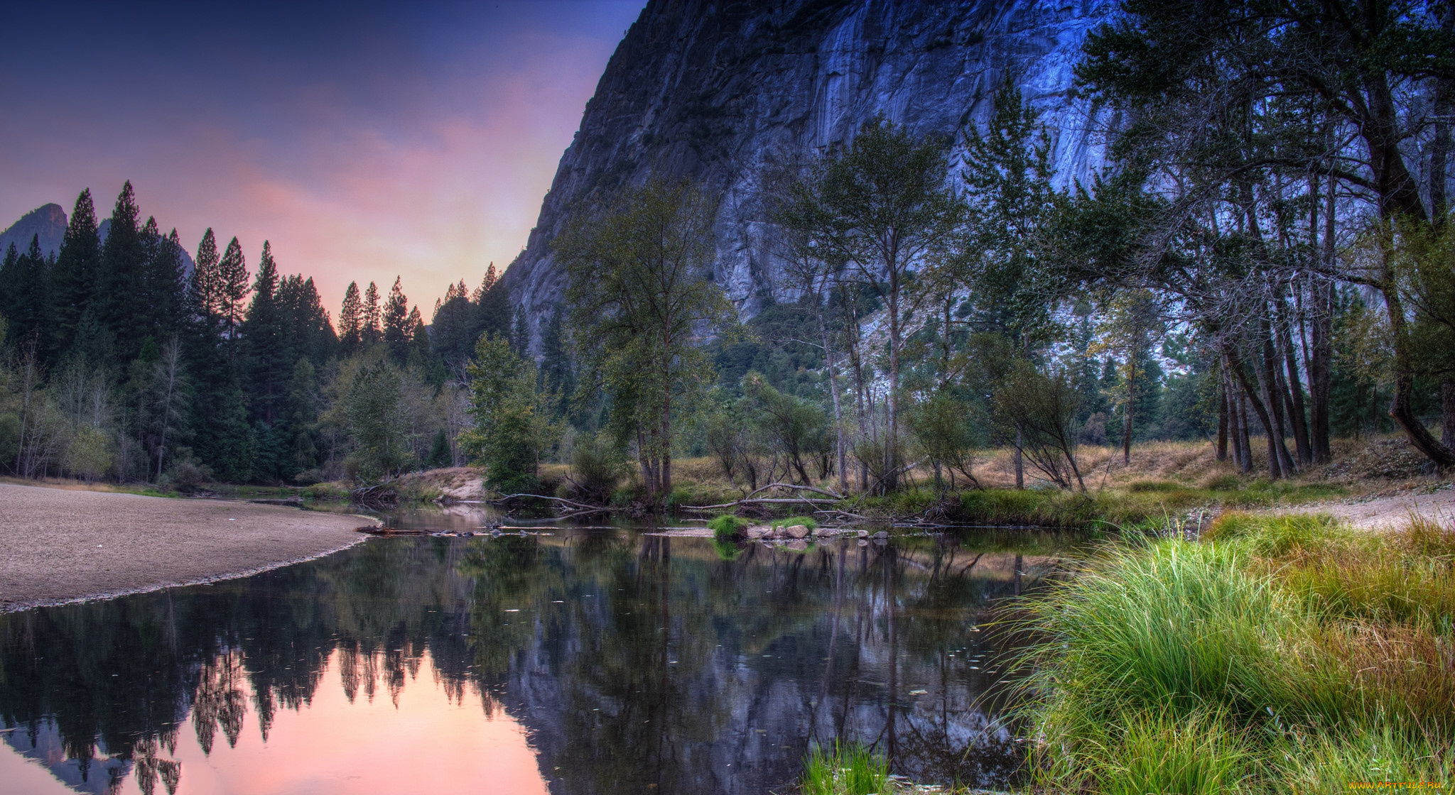 природа, реки, озера, река, лес