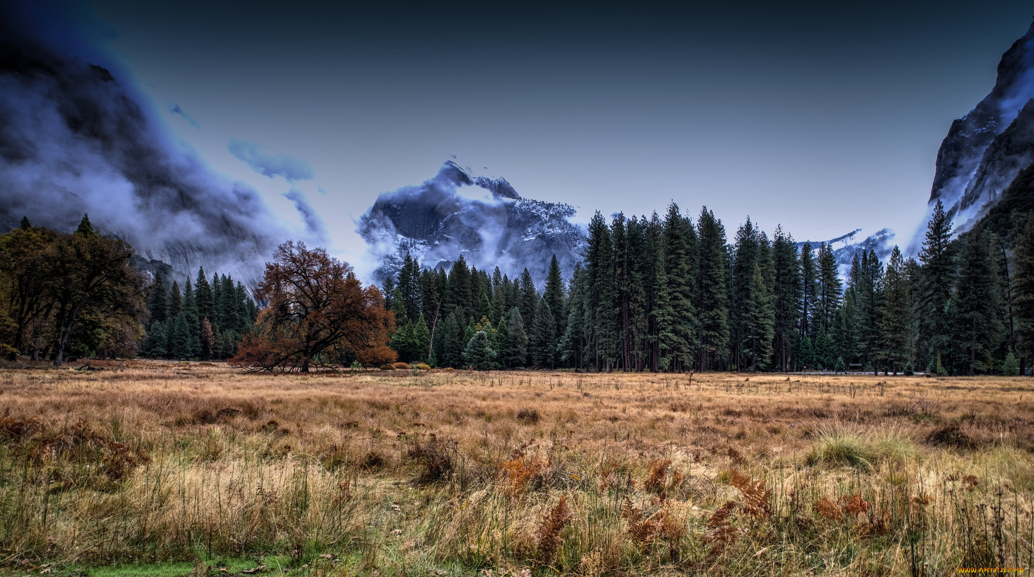 природа, пейзажи, простор