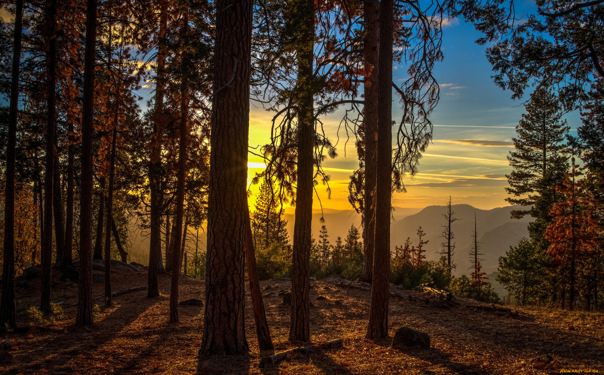 природа, восходы, закаты, рассвет