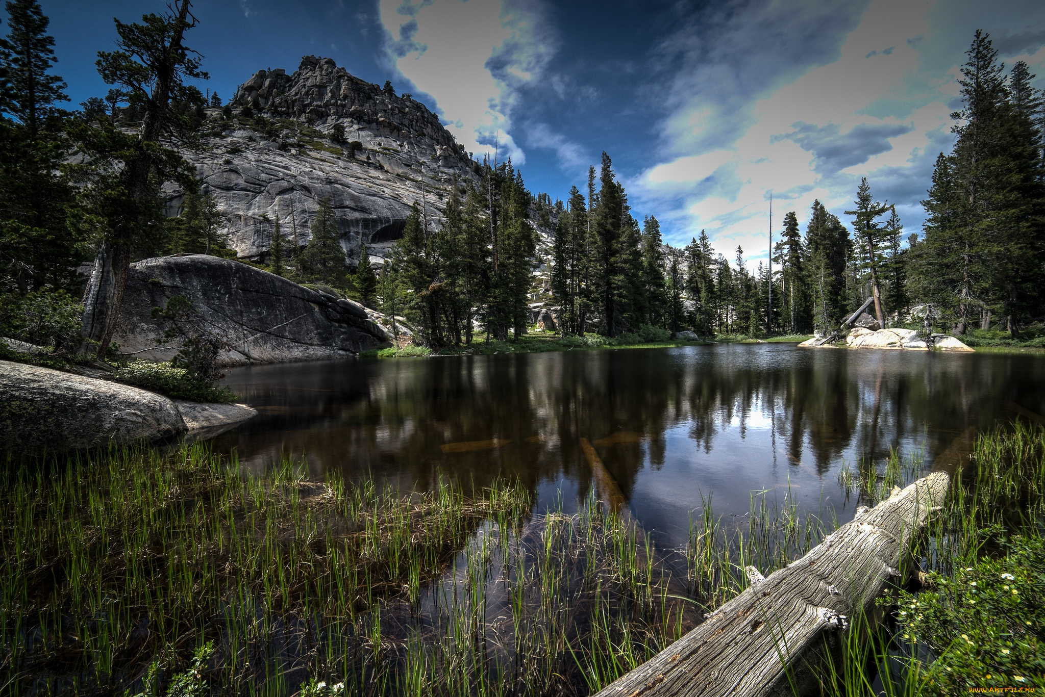 природа, реки, озера, река, лес