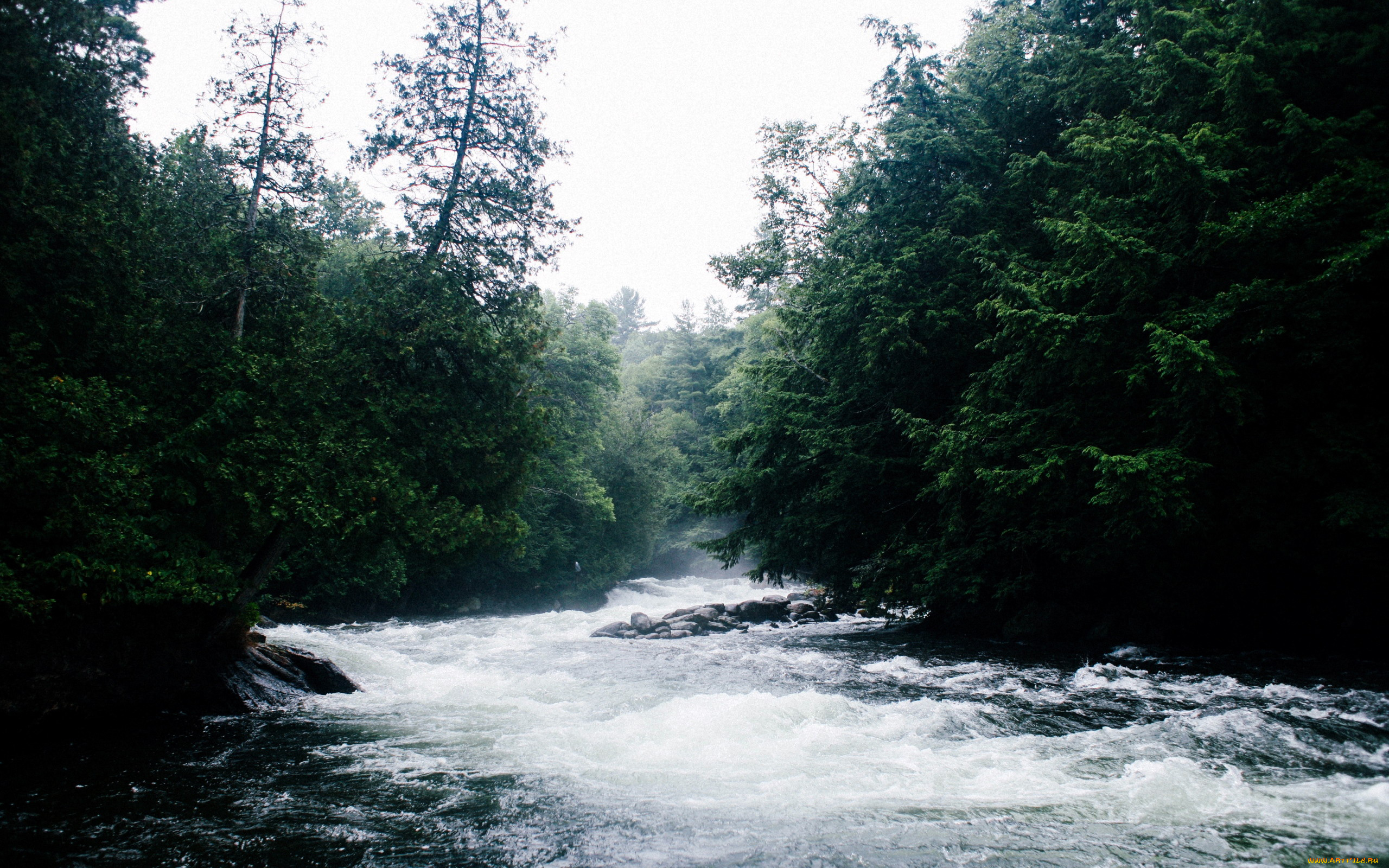 природа, реки, озера, бурная, река
