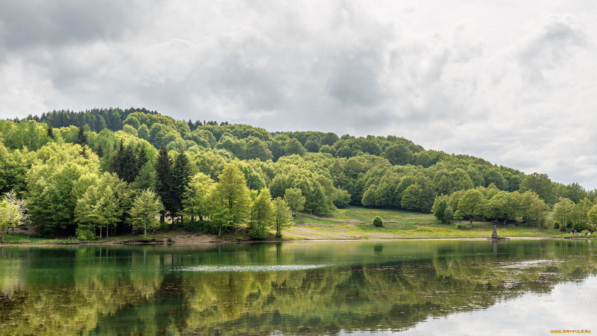 природа, реки, озера, деревья, река, отражение