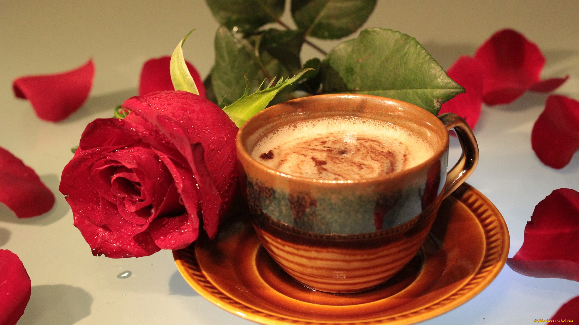 еда, кофе, , кофейные, зёрна, роза, лепестки