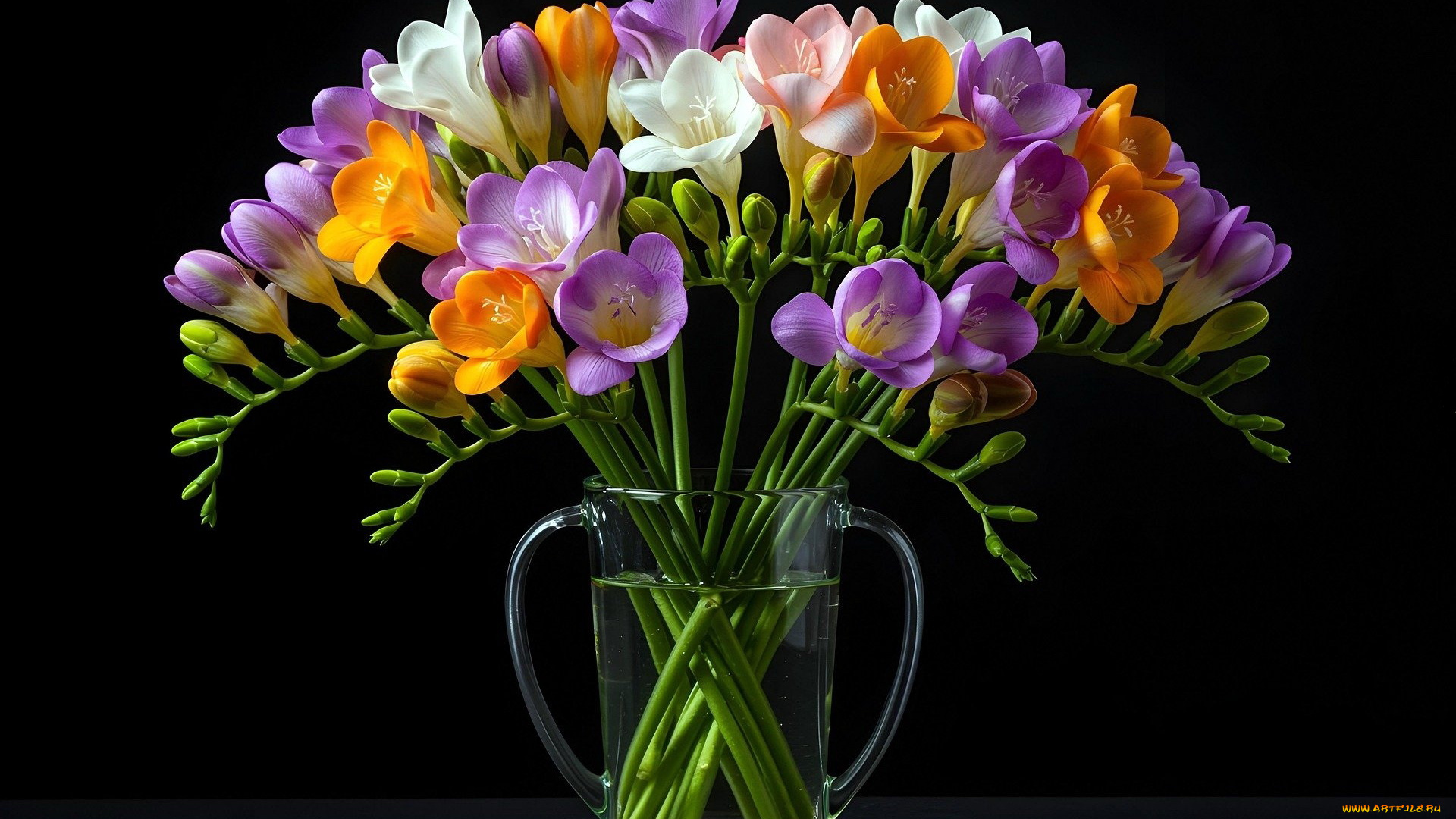 3д, графика, цветы, , flowers, фрезия