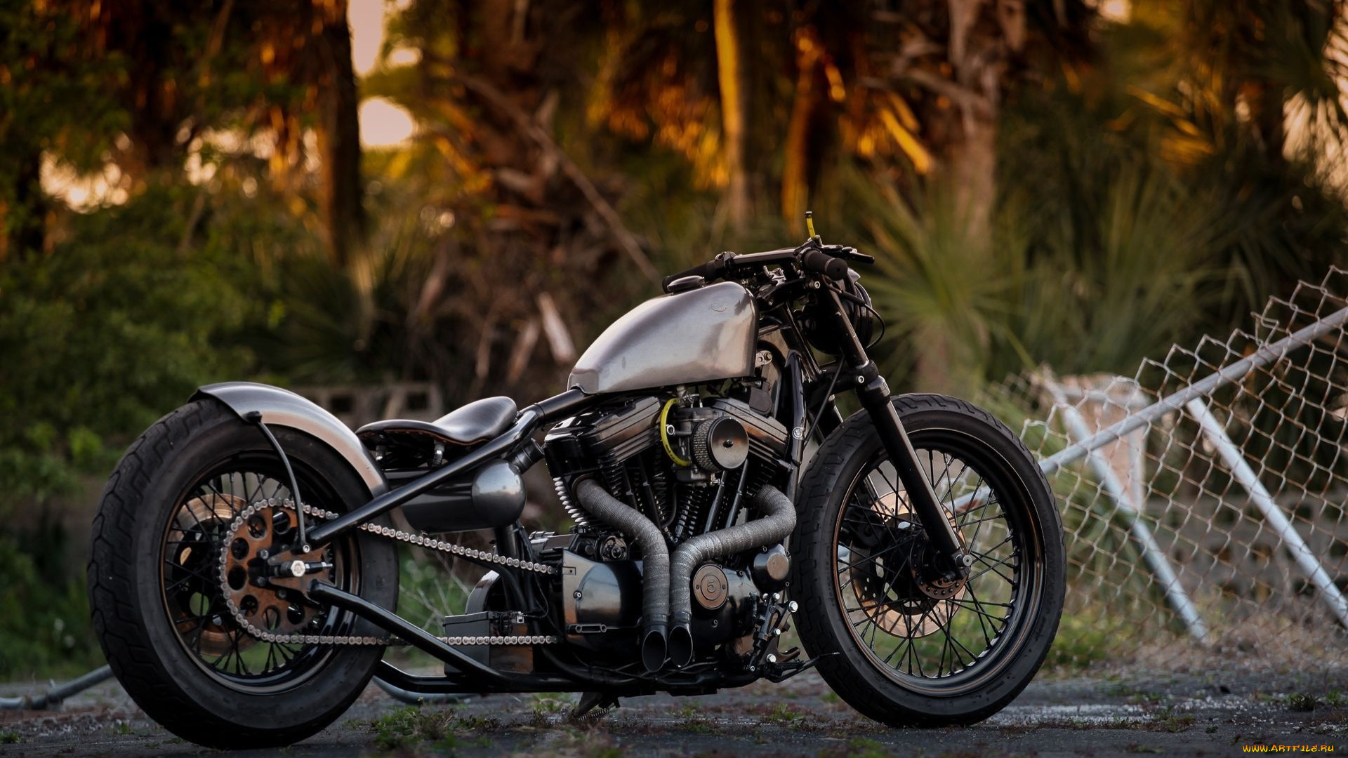 харлей, мотоциклы, harley-davidson, мотоцикл, байк, thunderbike, customs