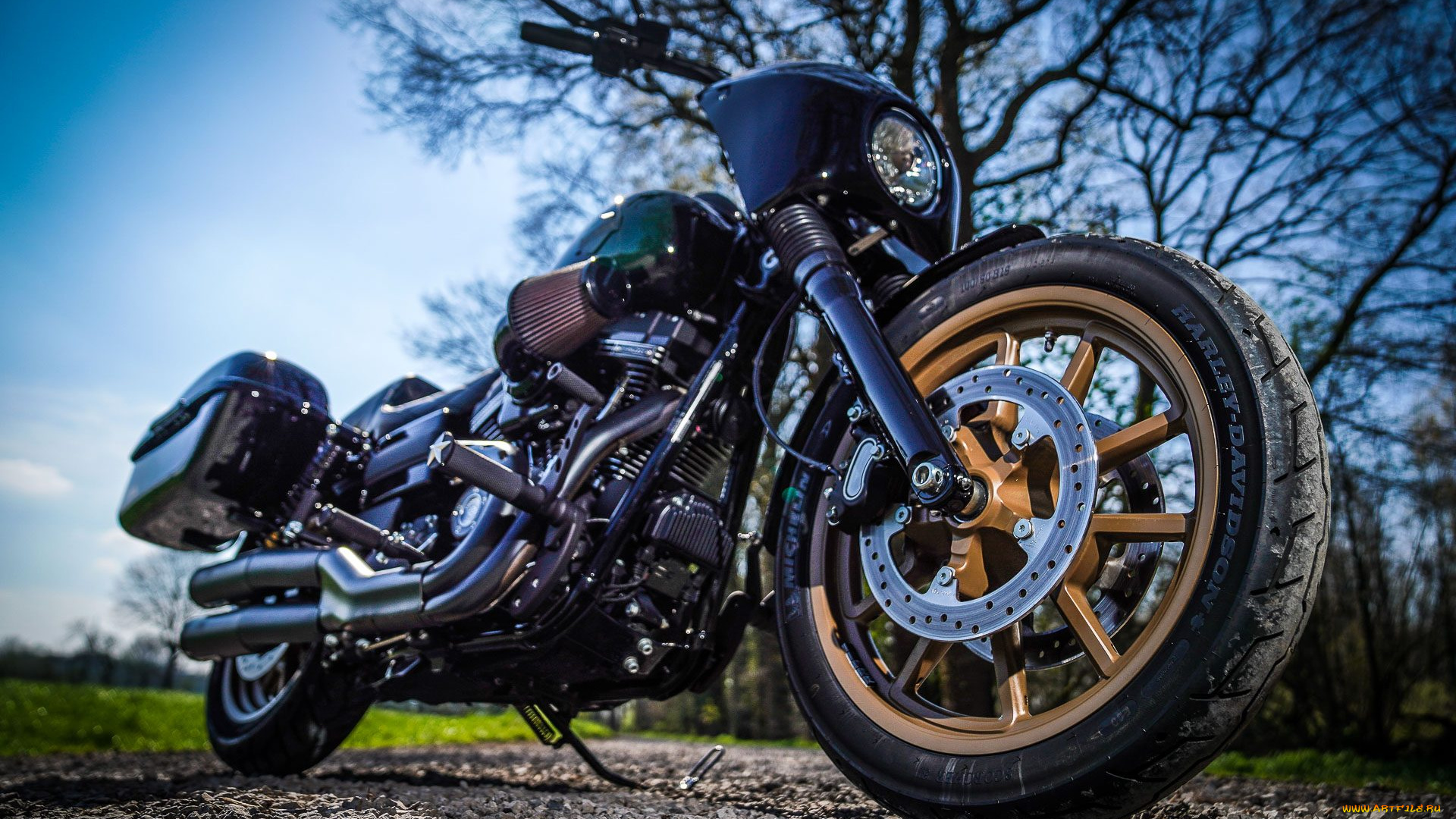 харлей, мотоциклы, harley-davidson, мотоцикл, байк, thunderbike, customs