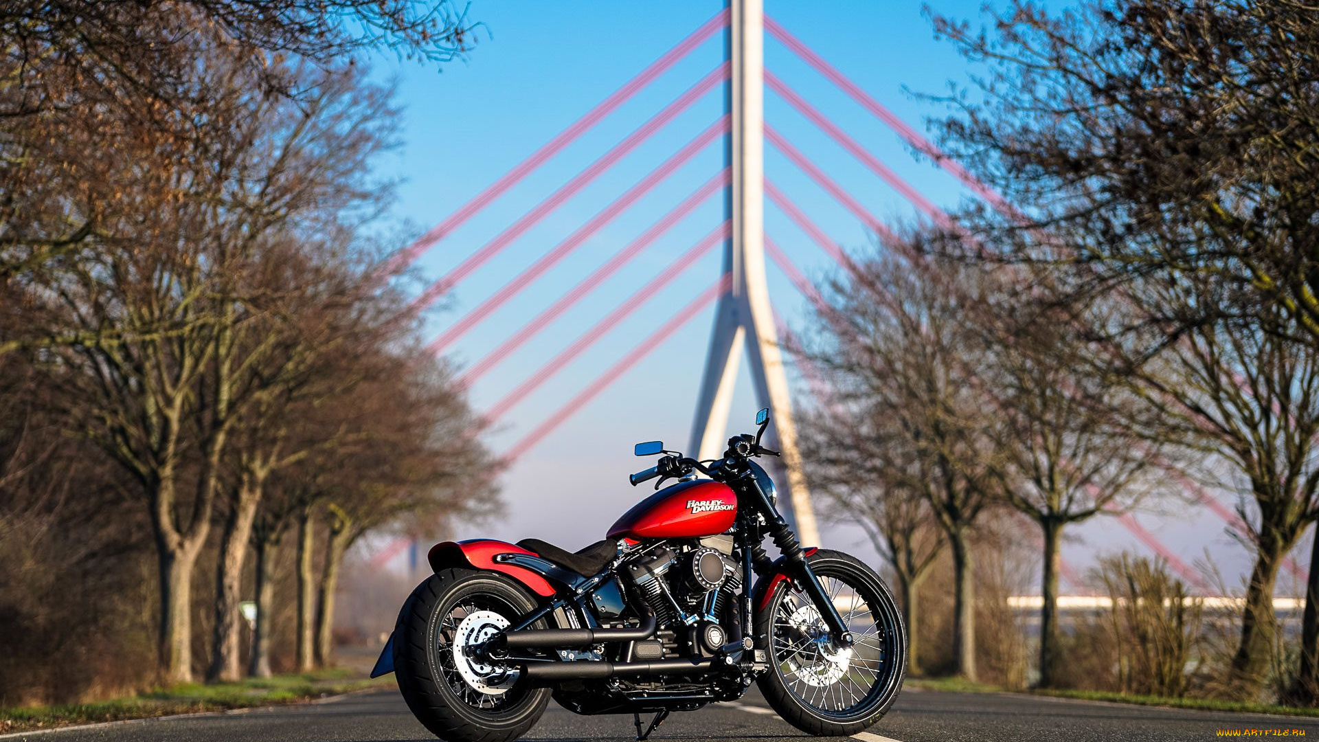 харлей, мотоциклы, harley-davidson, мотоцикл, байк, thunderbike, customs