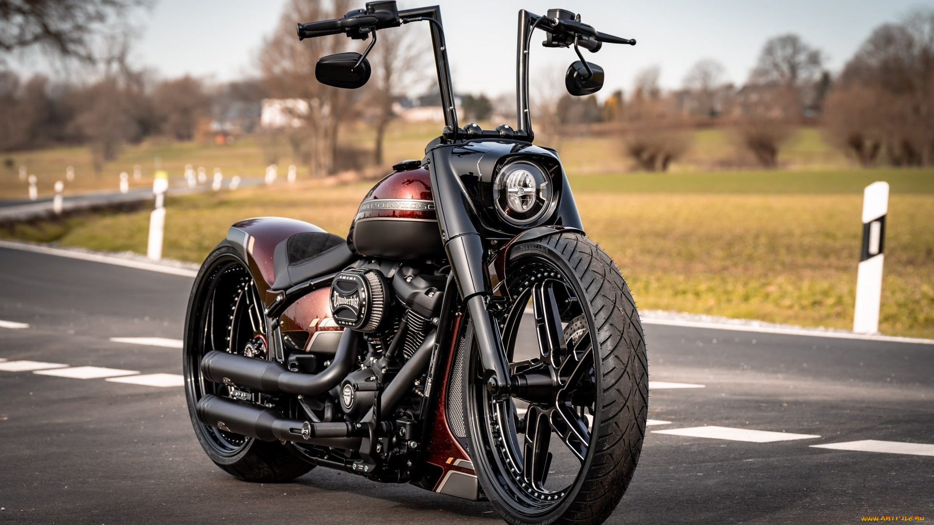 harley, мотоциклы, harley-davidson, thunderbike, customs, мотоцикл, байк