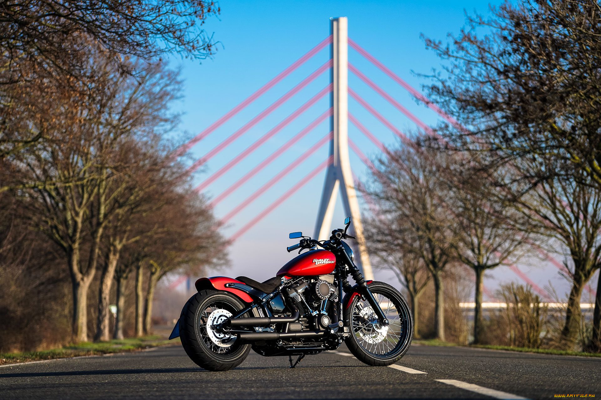 харлей, мотоциклы, harley-davidson, мотоцикл, байк, thunderbike, customs