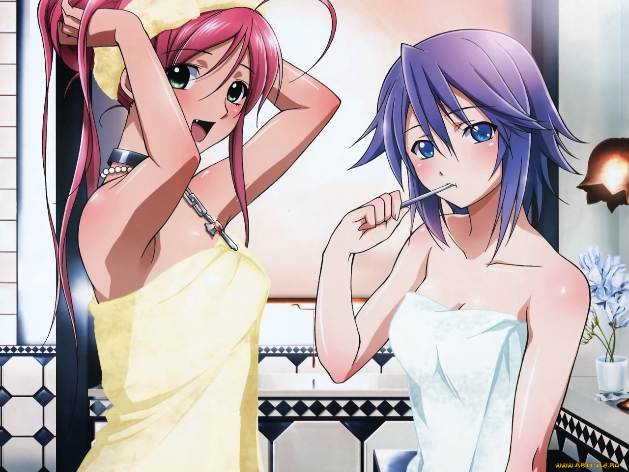 аниме, rosario, vampire