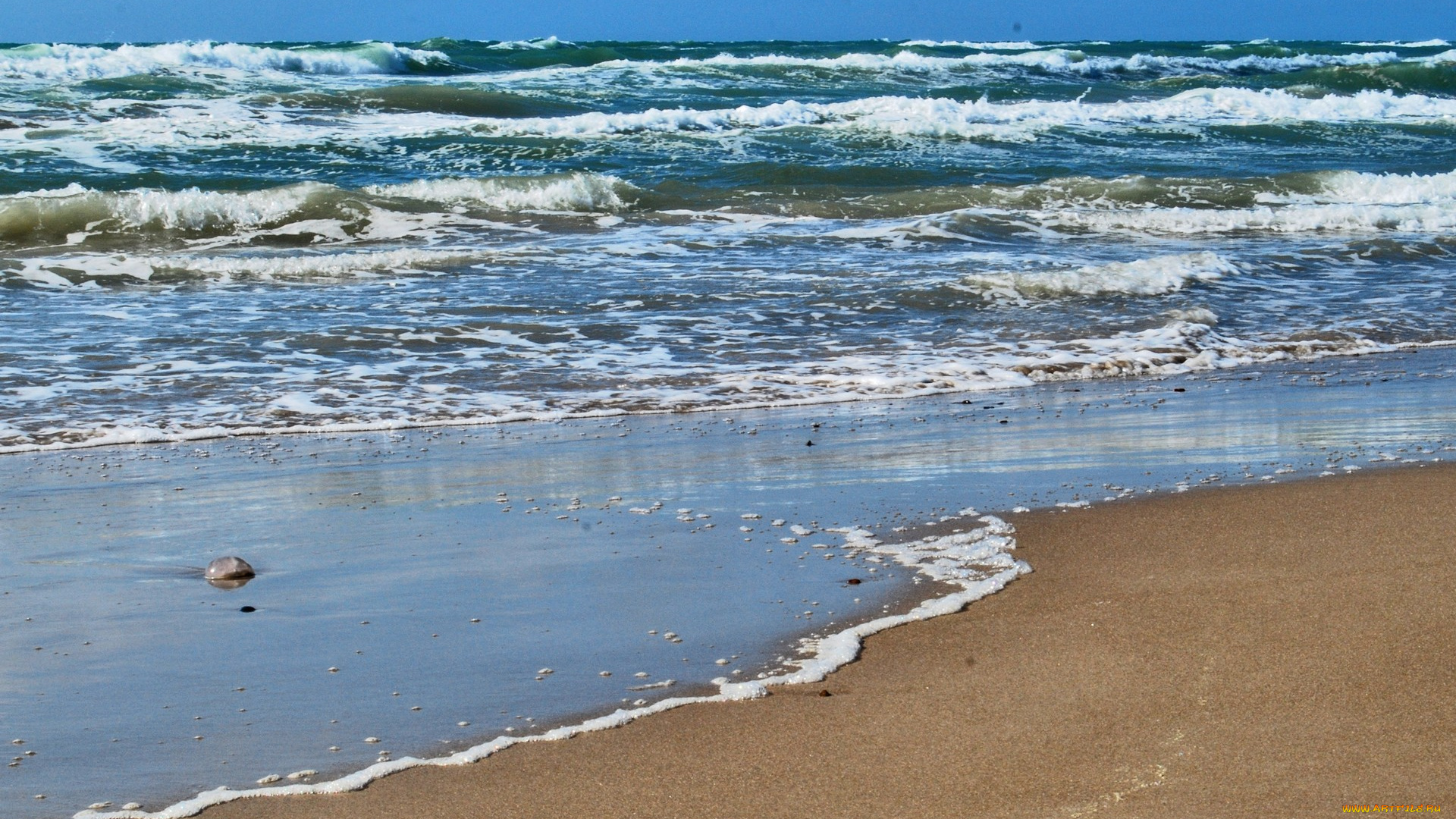 природа, побережье