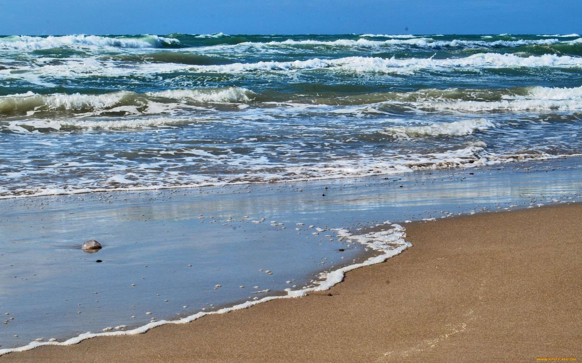 природа, побережье