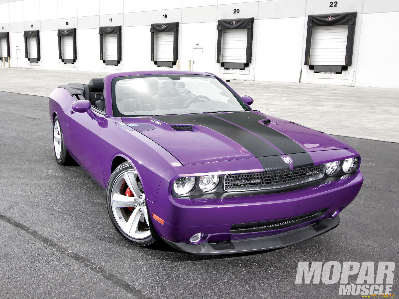 2009, dodge, challenger, srt8, автомобили