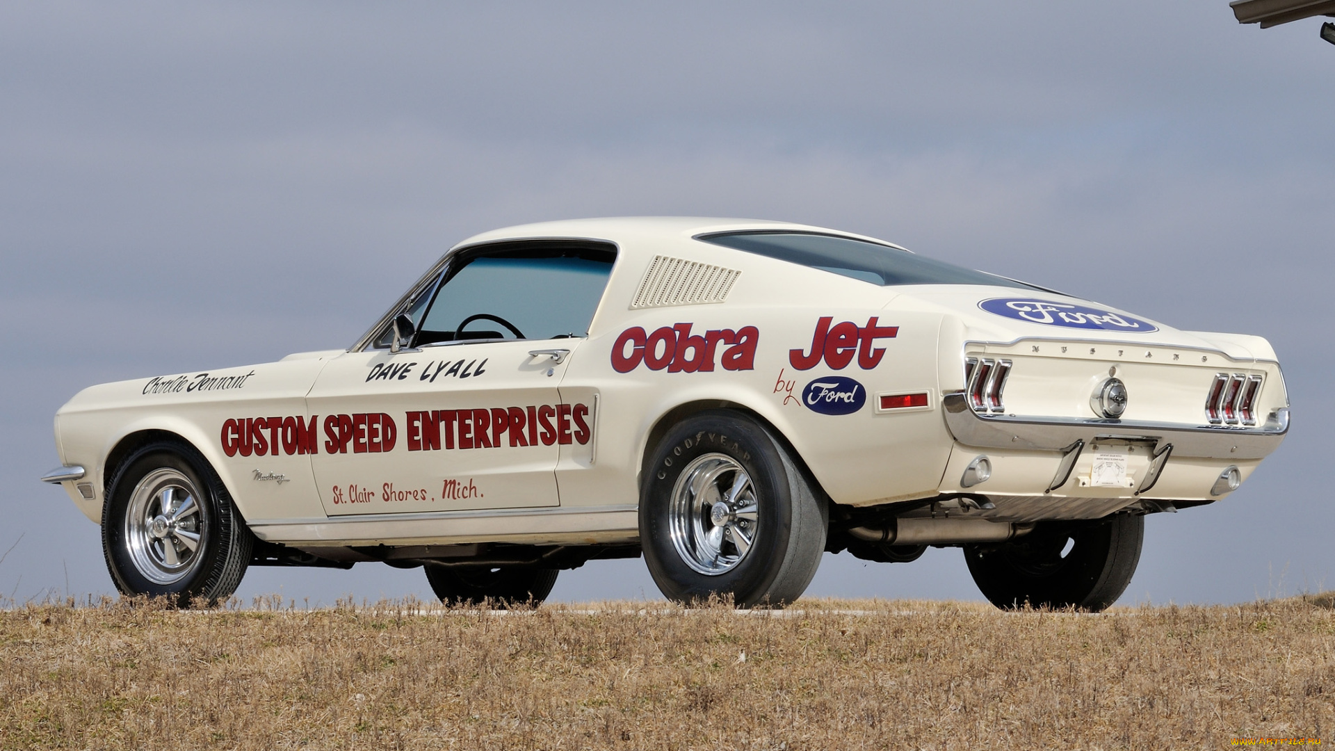 автомобили, mustang