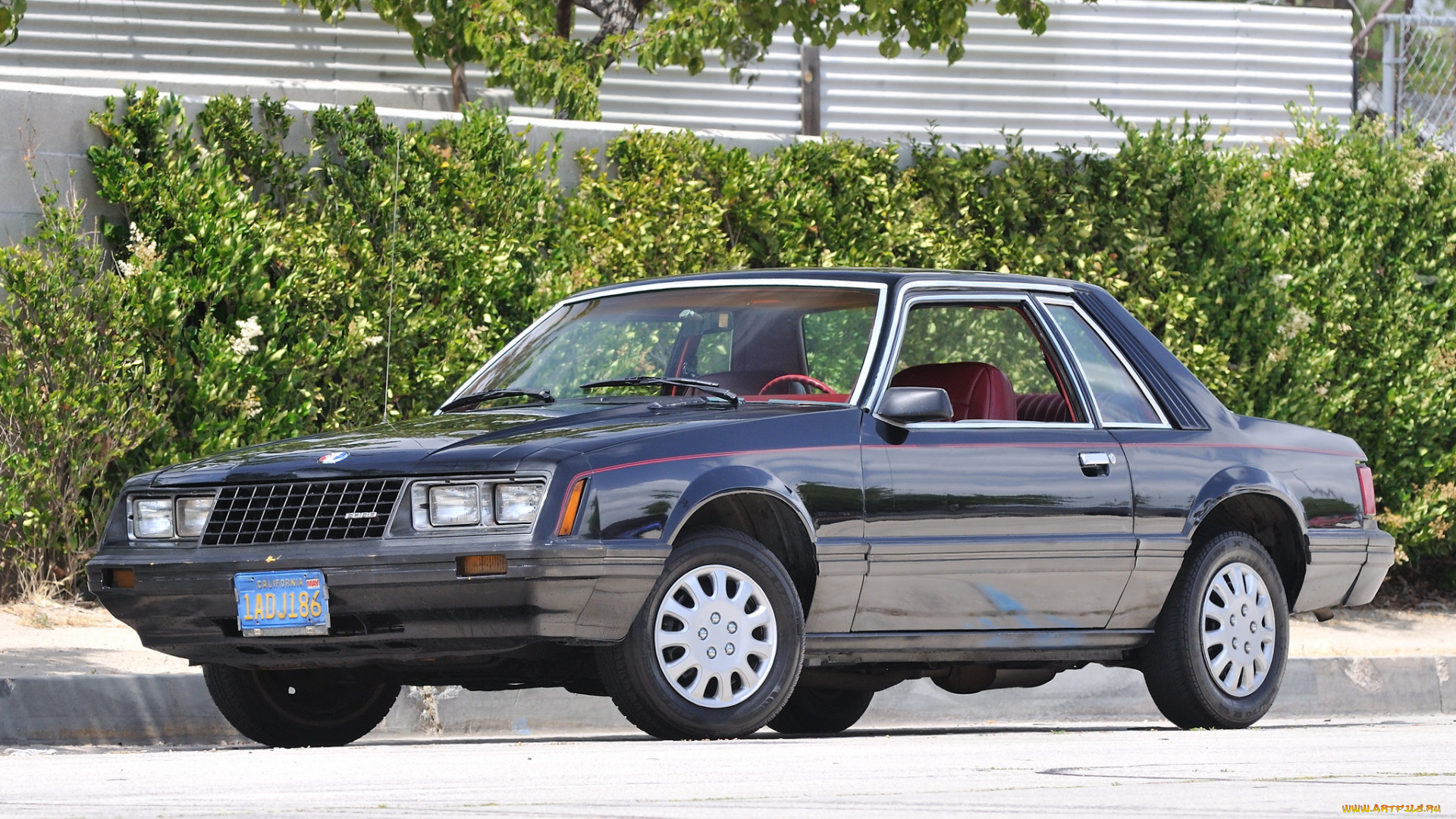 автомобили, mustang