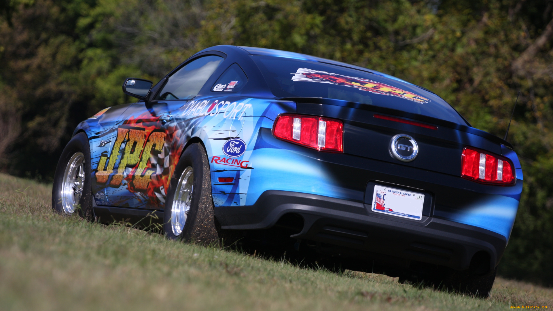 автомобили, mustang