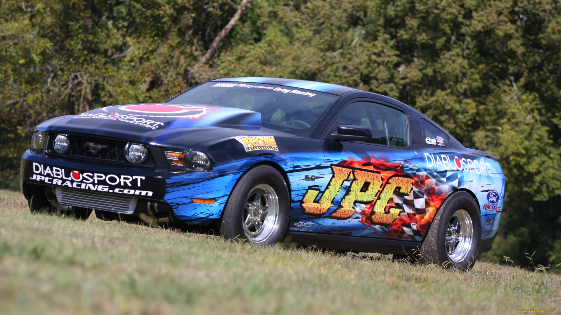 автомобили, mustang