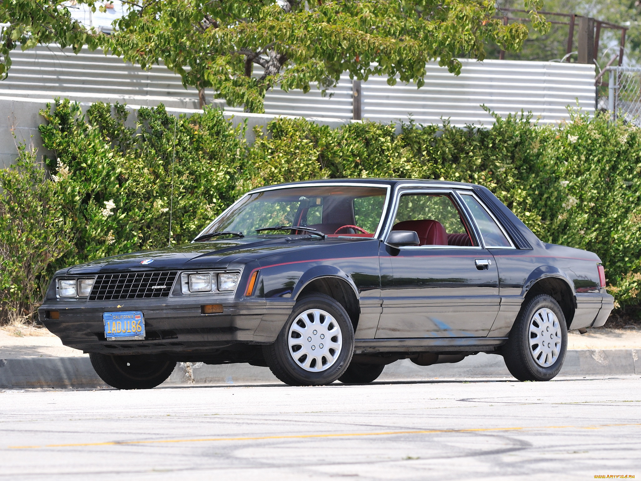 автомобили, mustang