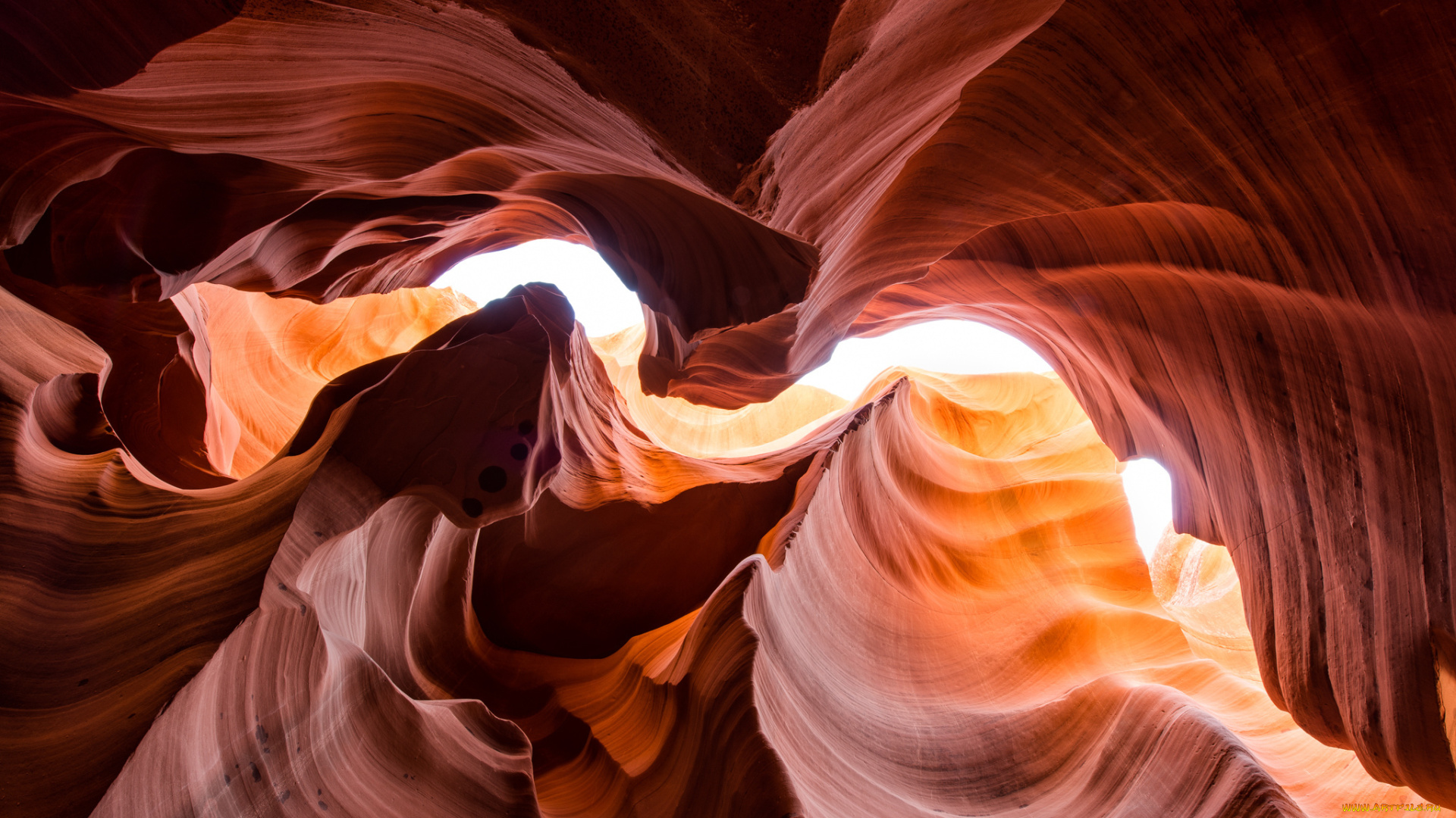 природа, горы, скалы, каньон, антилопы, аризона, сша, свет