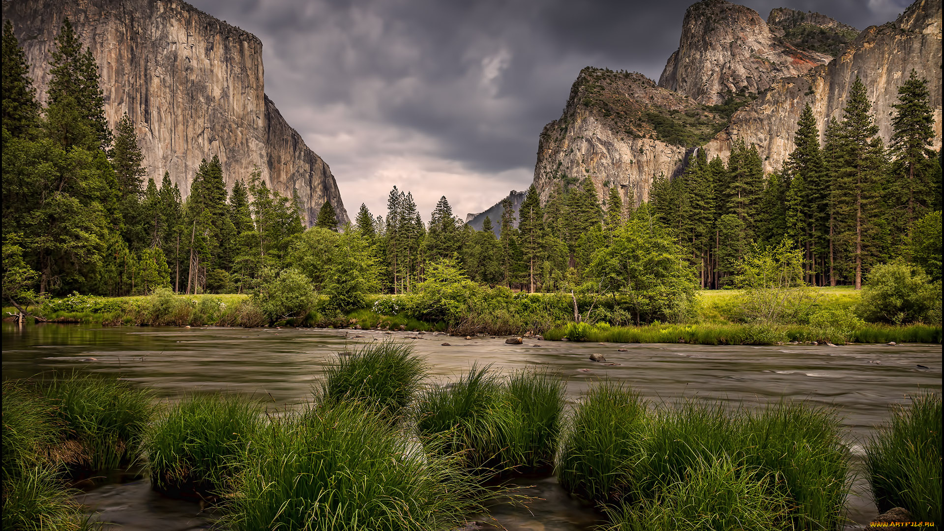 природа, реки, озера, горы, лес, река