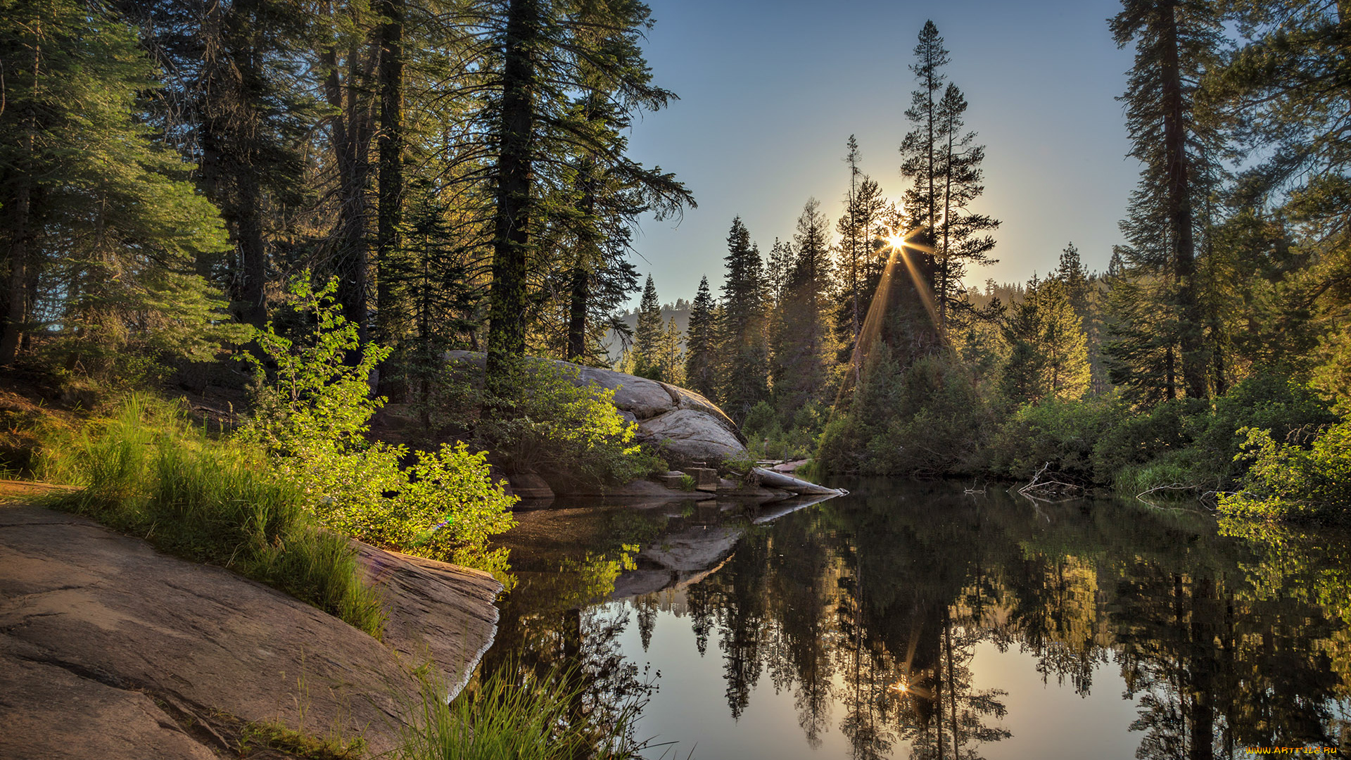 природа, реки, озера, солнце, камни, река, лес