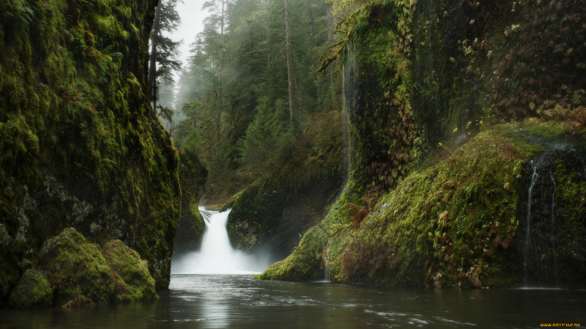 природа, водопады, деревья, вода, лес, листья