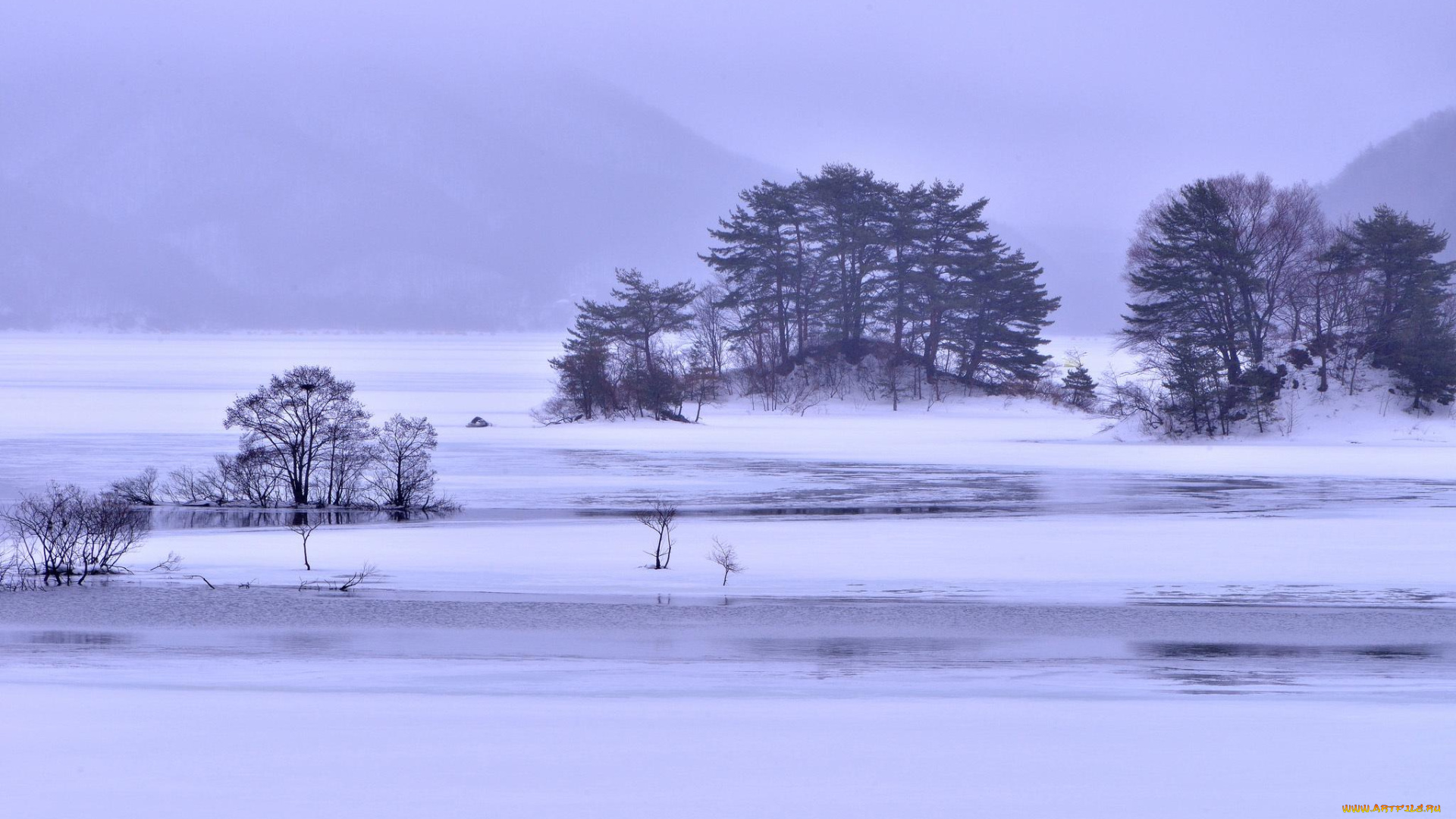 природа, зима, кусты, деревья, озеро, лед, снег