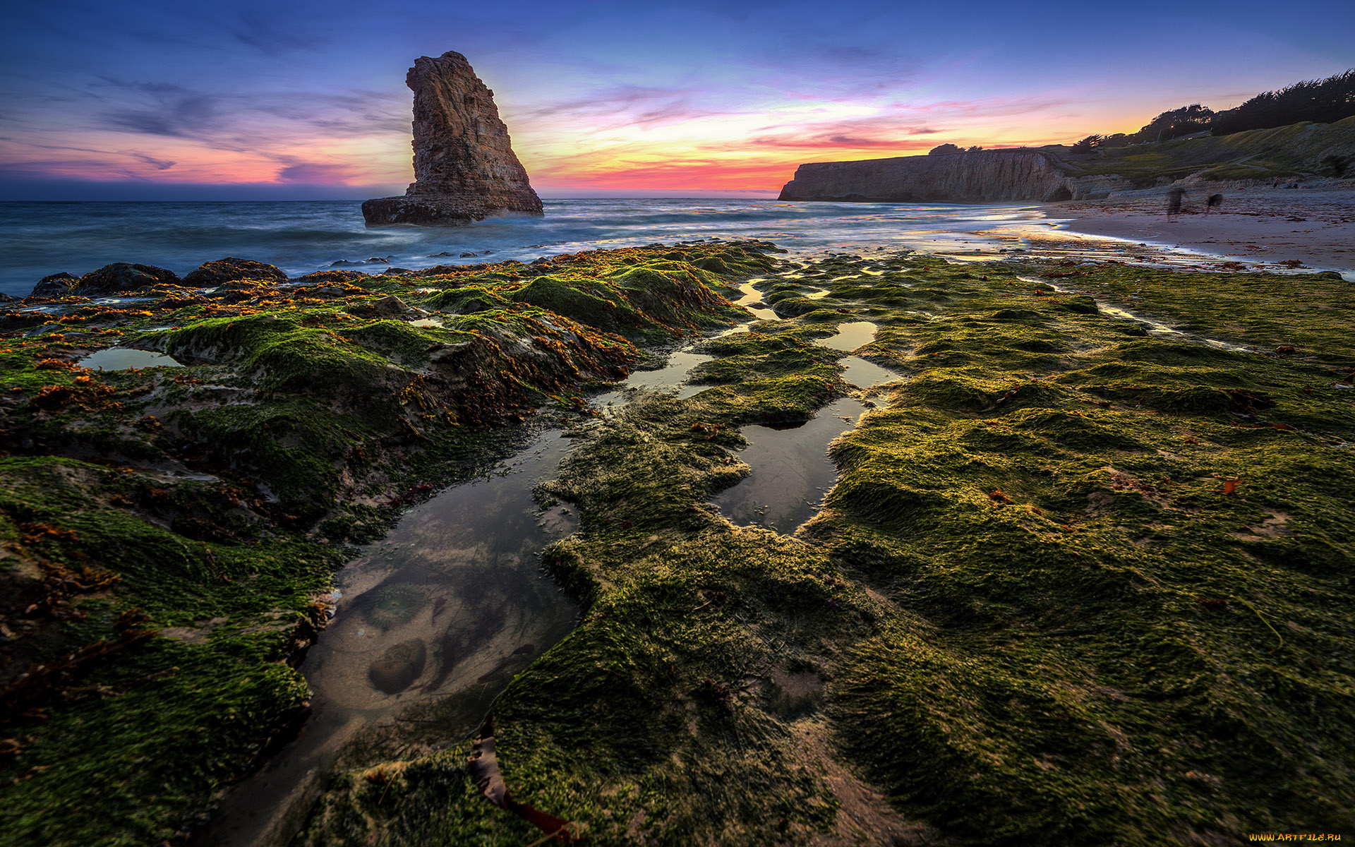 природа, побережье, берег, океан, отлив