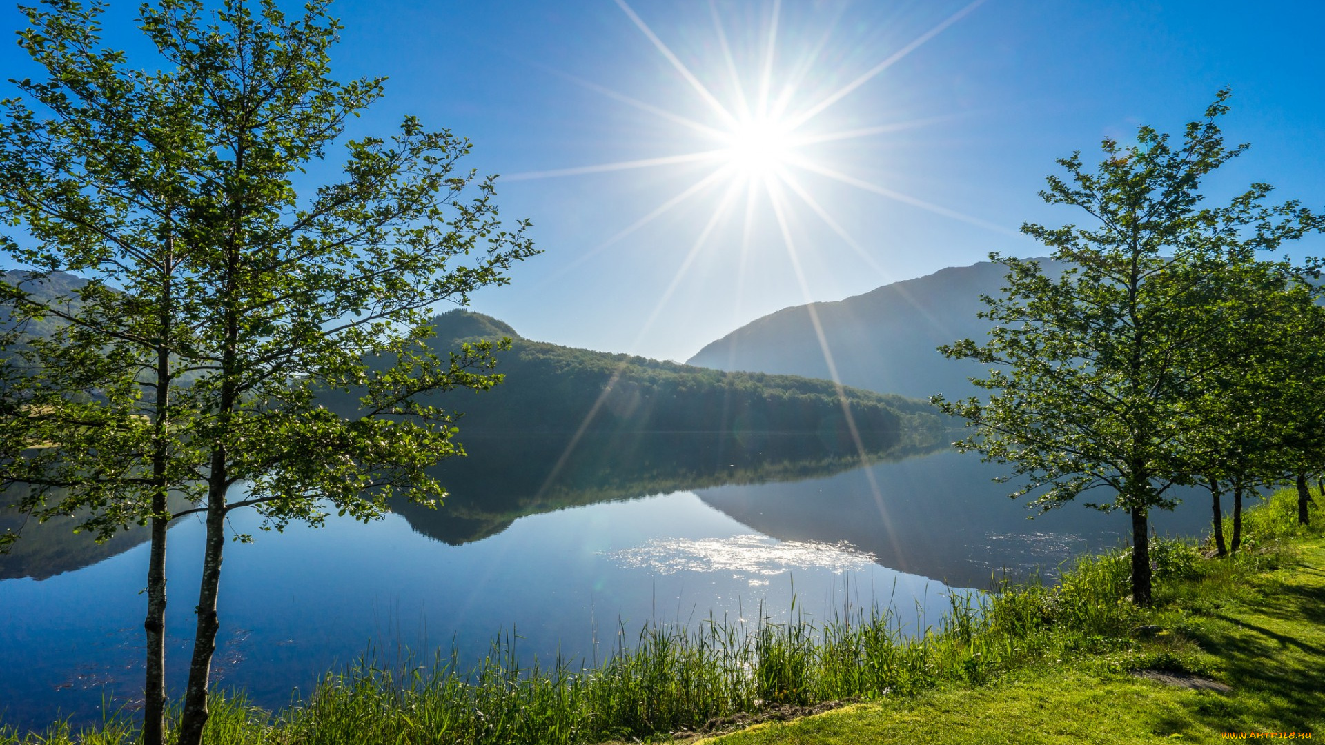 природа, восходы, закаты, деревья, vigesaa, rogaland, norway, норвегия, озеро