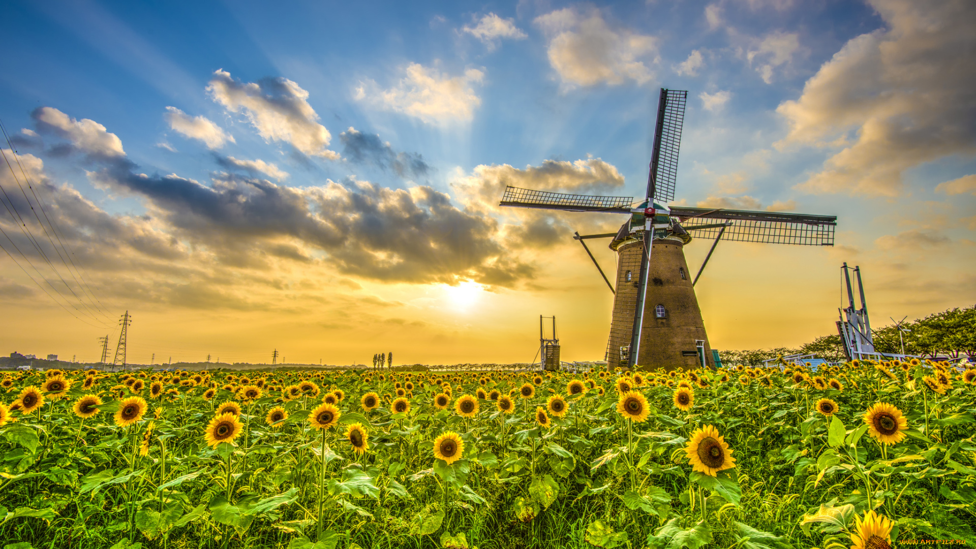 разное, мельницы, мельница, ветряк