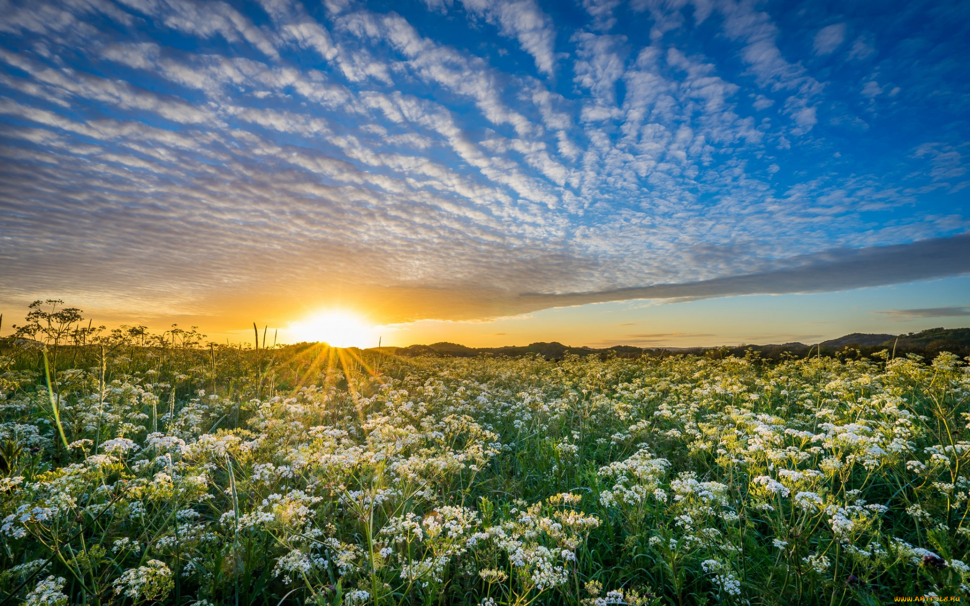 природа, восходы, закаты, облака, закат, цвнты, луг, норвегия, norway, rogaland, ogna