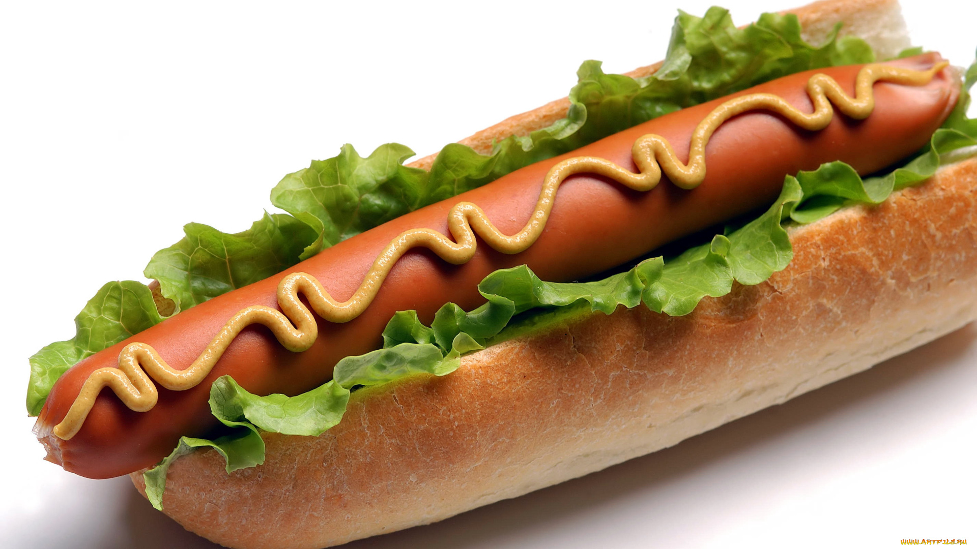 еда, бутерброды, , гамбургеры, , канапе, салат, сосиска, дог, горчица, хот