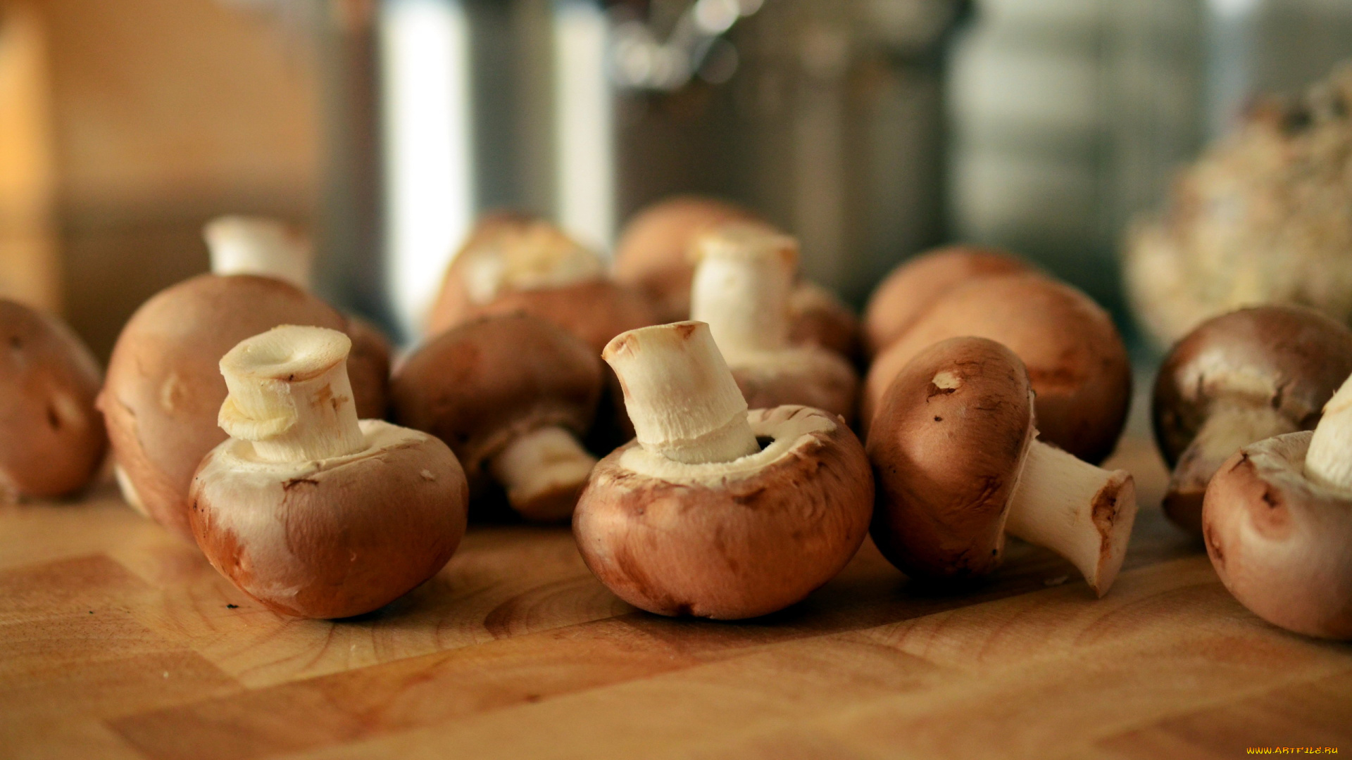 еда, грибы, , грибные, блюда, шампиньоны