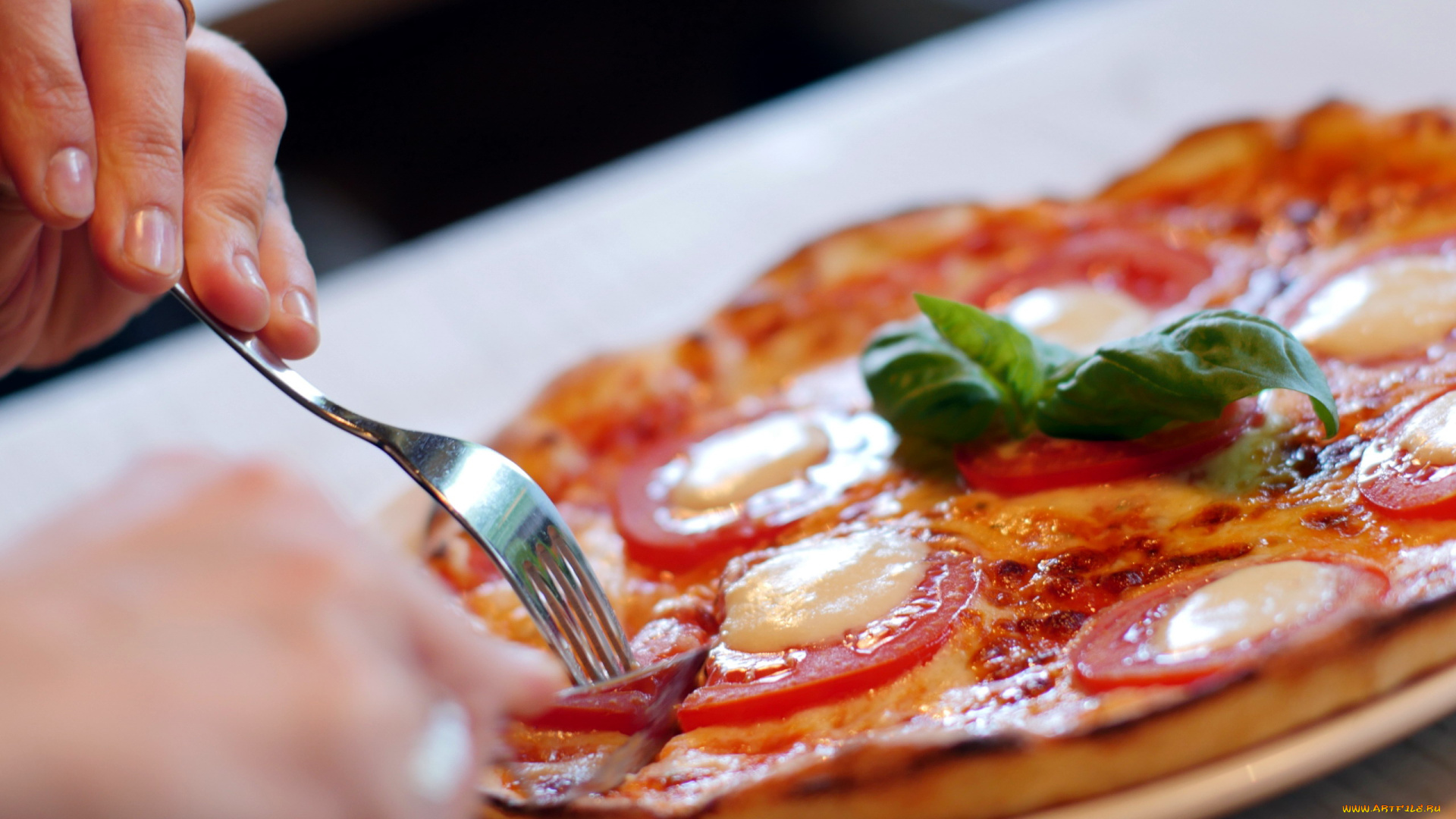 еда, пицца, базилик, сыр, томаты