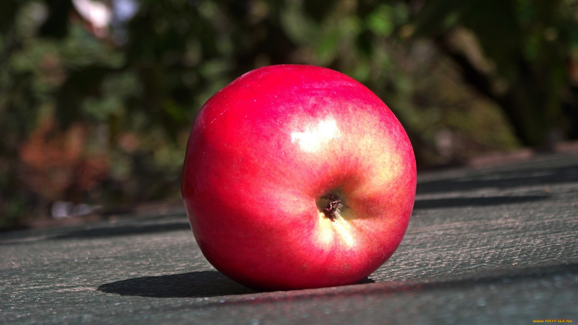 еда, Яблоки, румяное