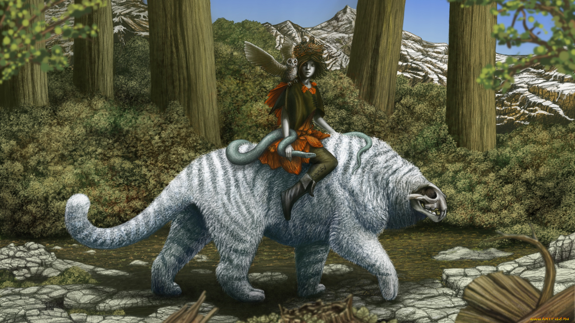 фэнтези, красавицы, и, чудовища, лес, существо, совы, девушка, всадник