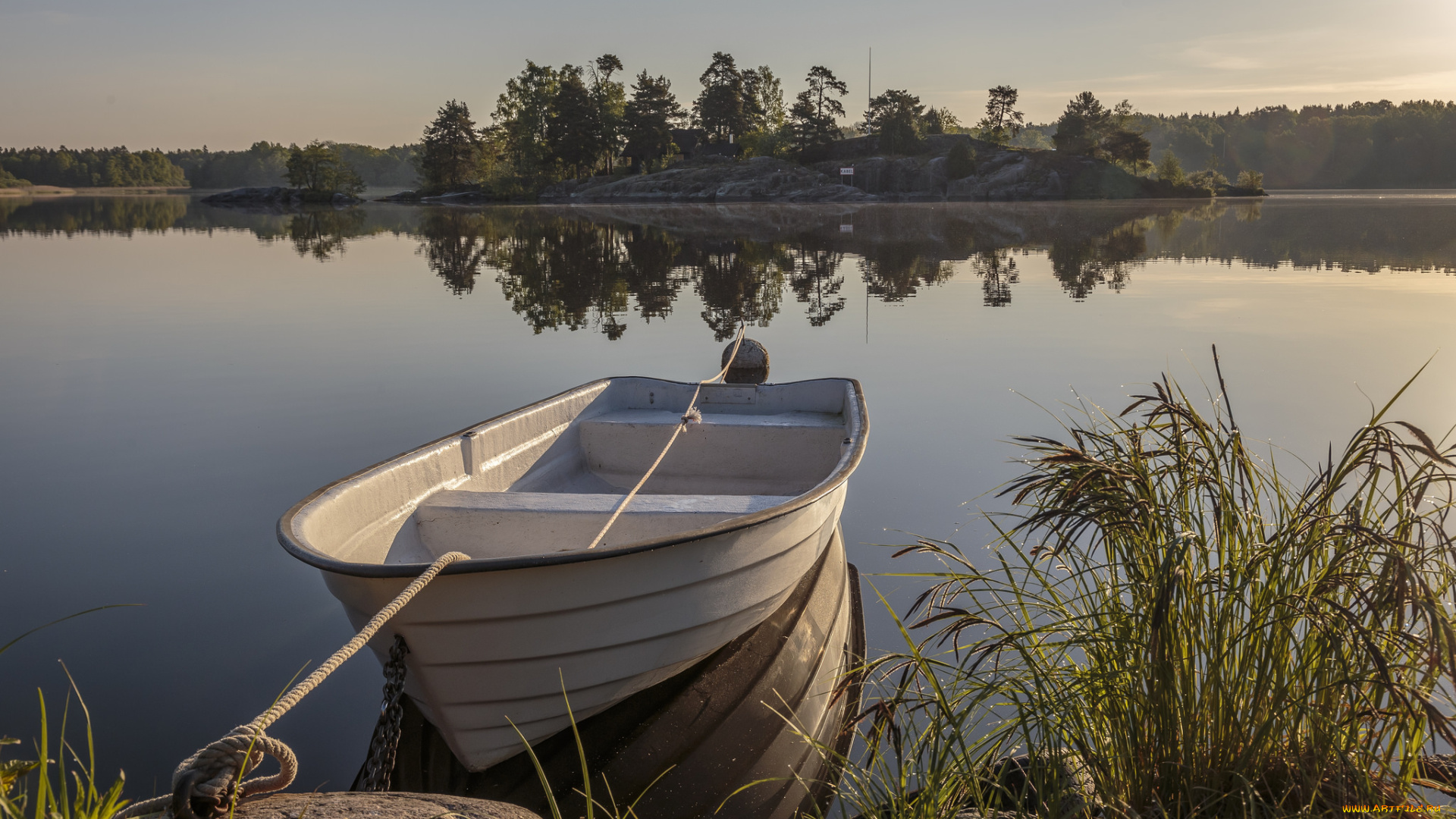 корабли, лодки, , шлюпки, лес, река