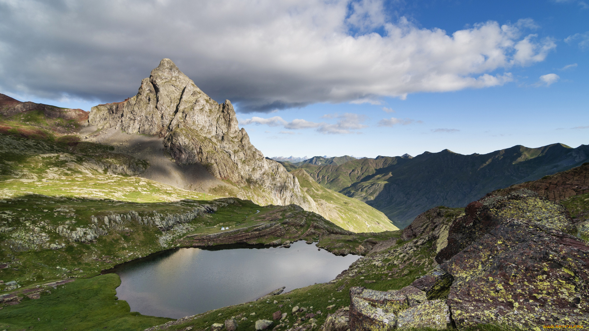 природа, реки, озера, лес, река