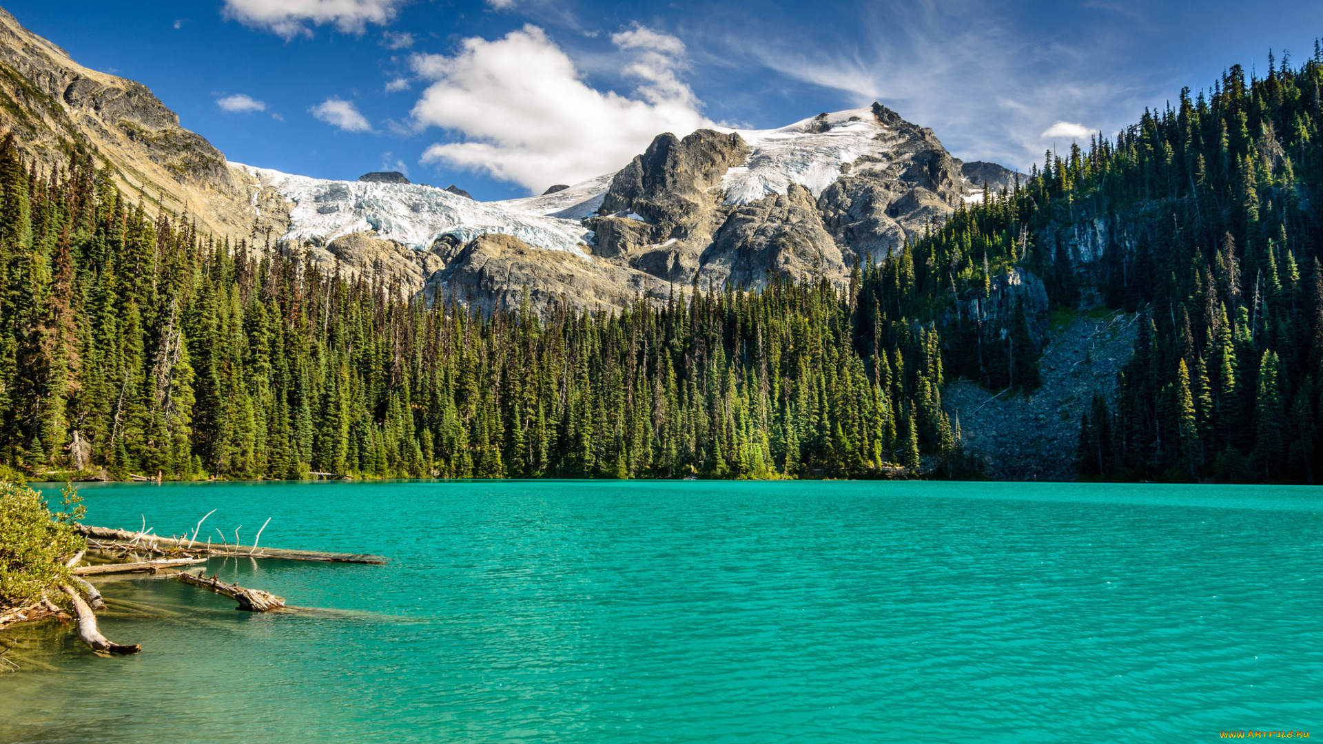 природа, реки, озера, лес, река