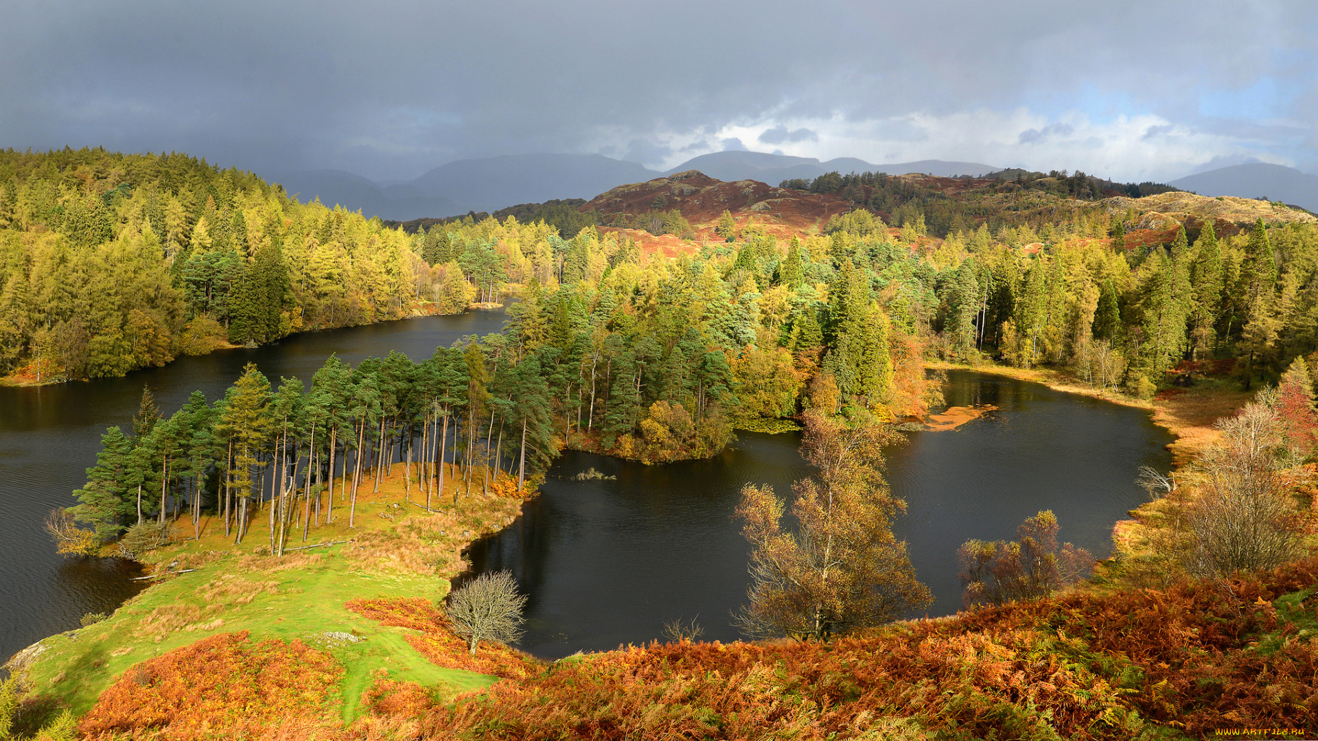 природа, реки, озера, река, лес