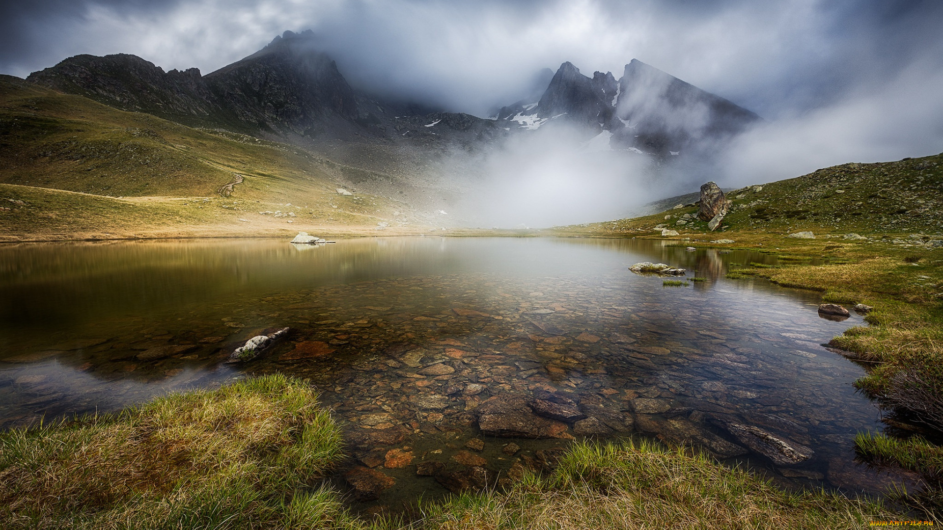 природа, реки, озера, река, лес