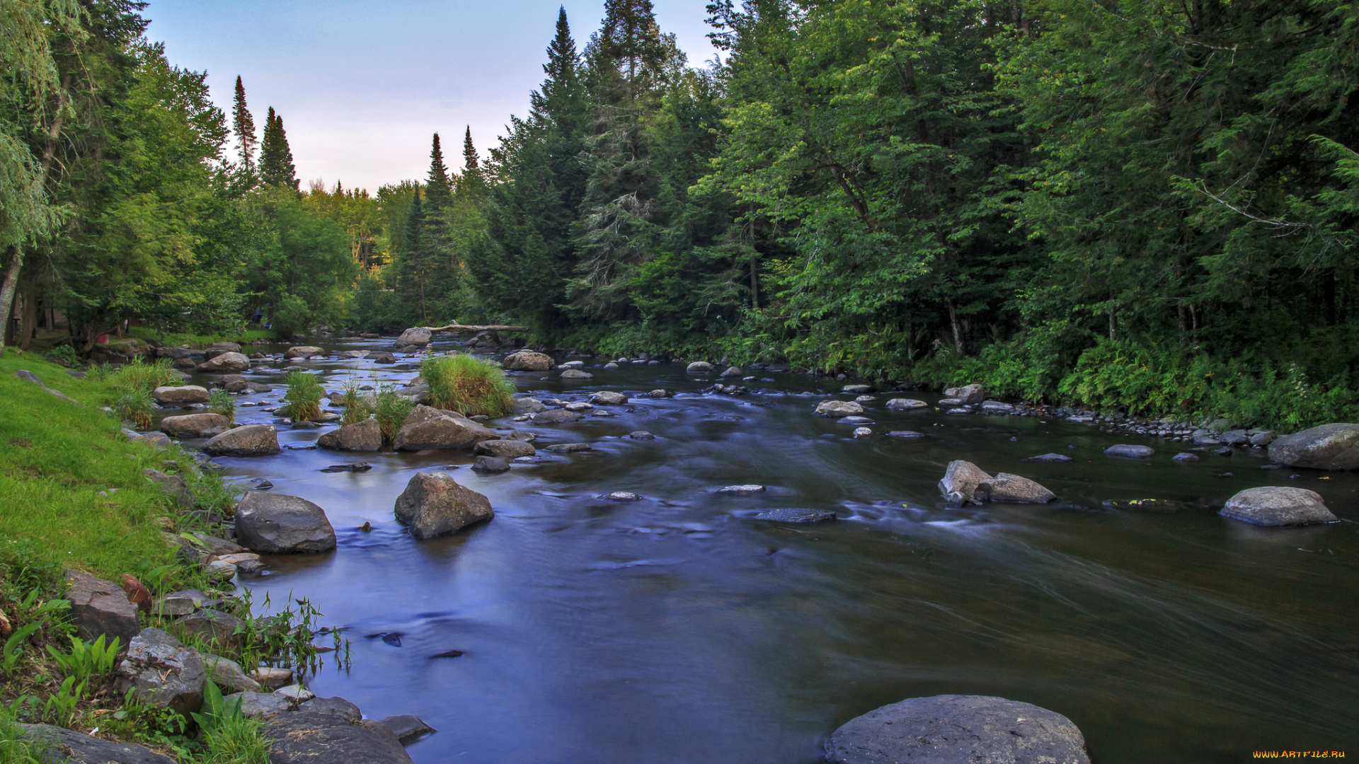 природа, реки, озера, река, лес