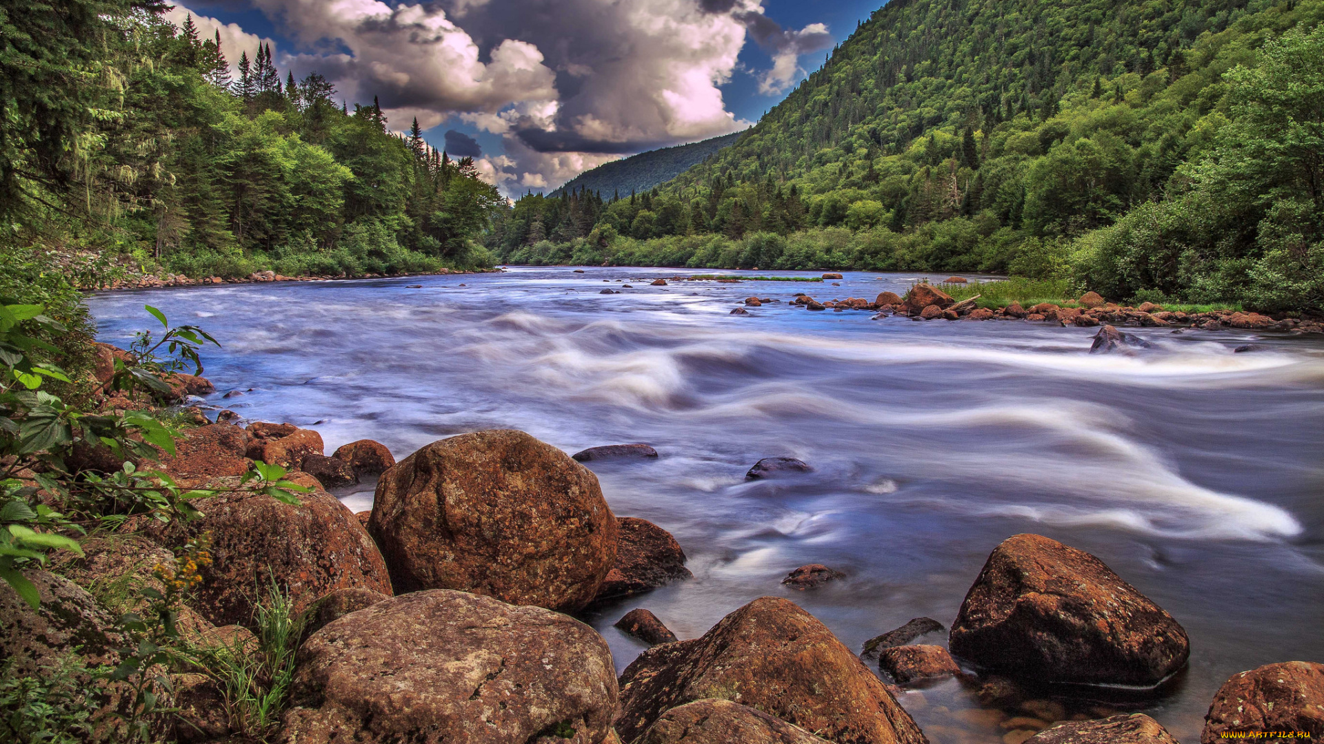 природа, реки, озера, река, лес