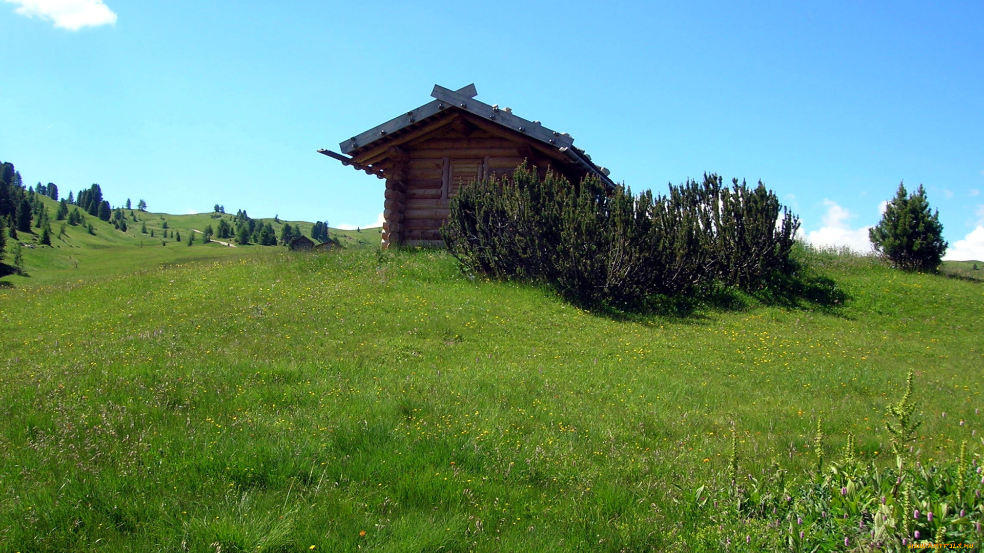 разное, сооружения, , постройки, холмы, кусты, луг, избушка, трава